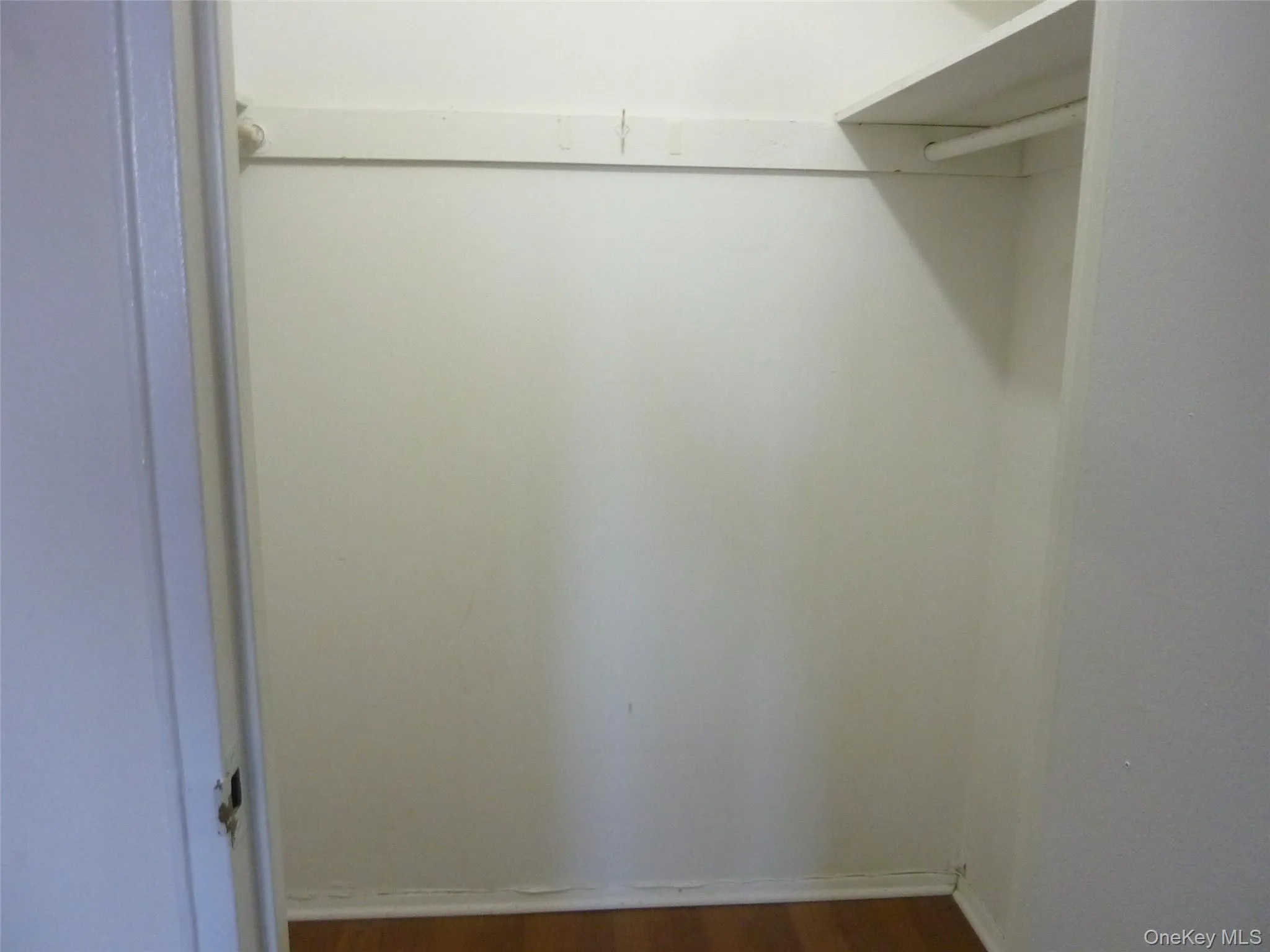 Walk in closet featuring dark wood-type flooring Walk in closet featuring dark wood-type flooring