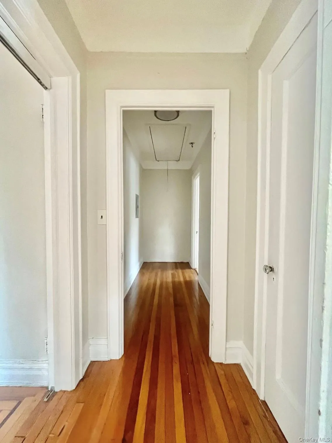 171 Beechwood Avenue, Mount Vernon, NY, 2 Bedrooms Bedrooms, 6 Rooms Rooms,1 BathroomBathrooms,Residential Lease,Idx,Beechwood,0,933205 171 Beechwood Avenue, Mount Vernon, NY, 2 Bedrooms Bedrooms, 6 Rooms Rooms,1 BathroomBathrooms,Residential Lease,Idx,Beechwood,0,933205