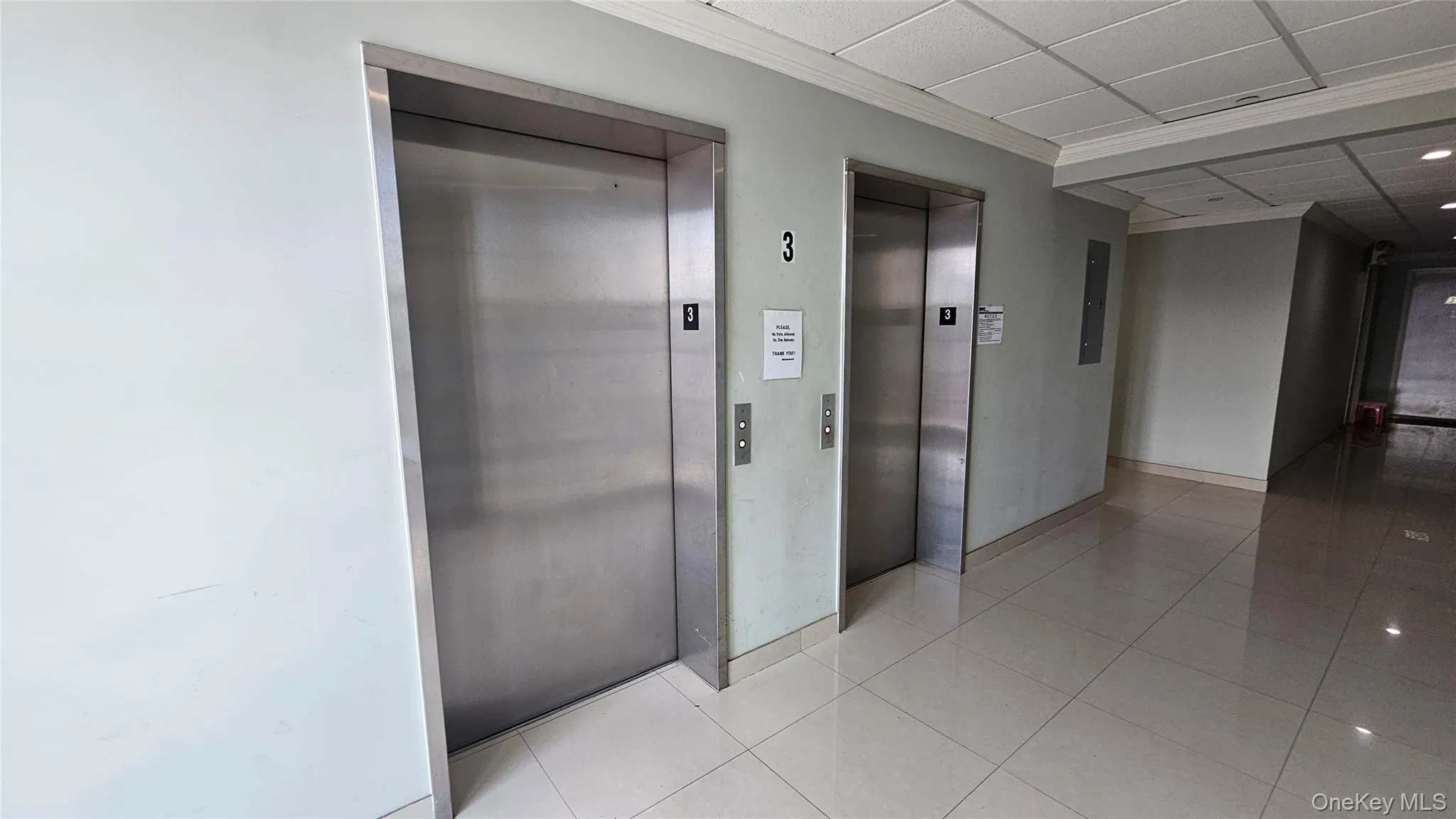 Corridor featuring elevator, tile patterned floors, crown molding, and a paneled ceiling Corridor featuring elevator, tile patterned floors, crown molding, and a paneled ceiling