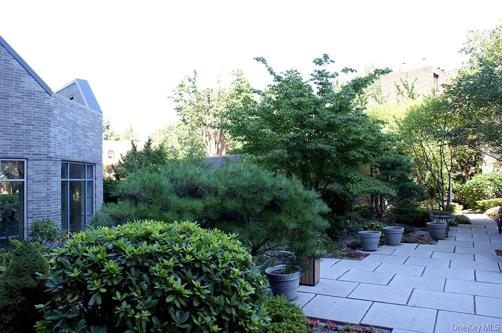 View of yard with a patio View of yard with a patio