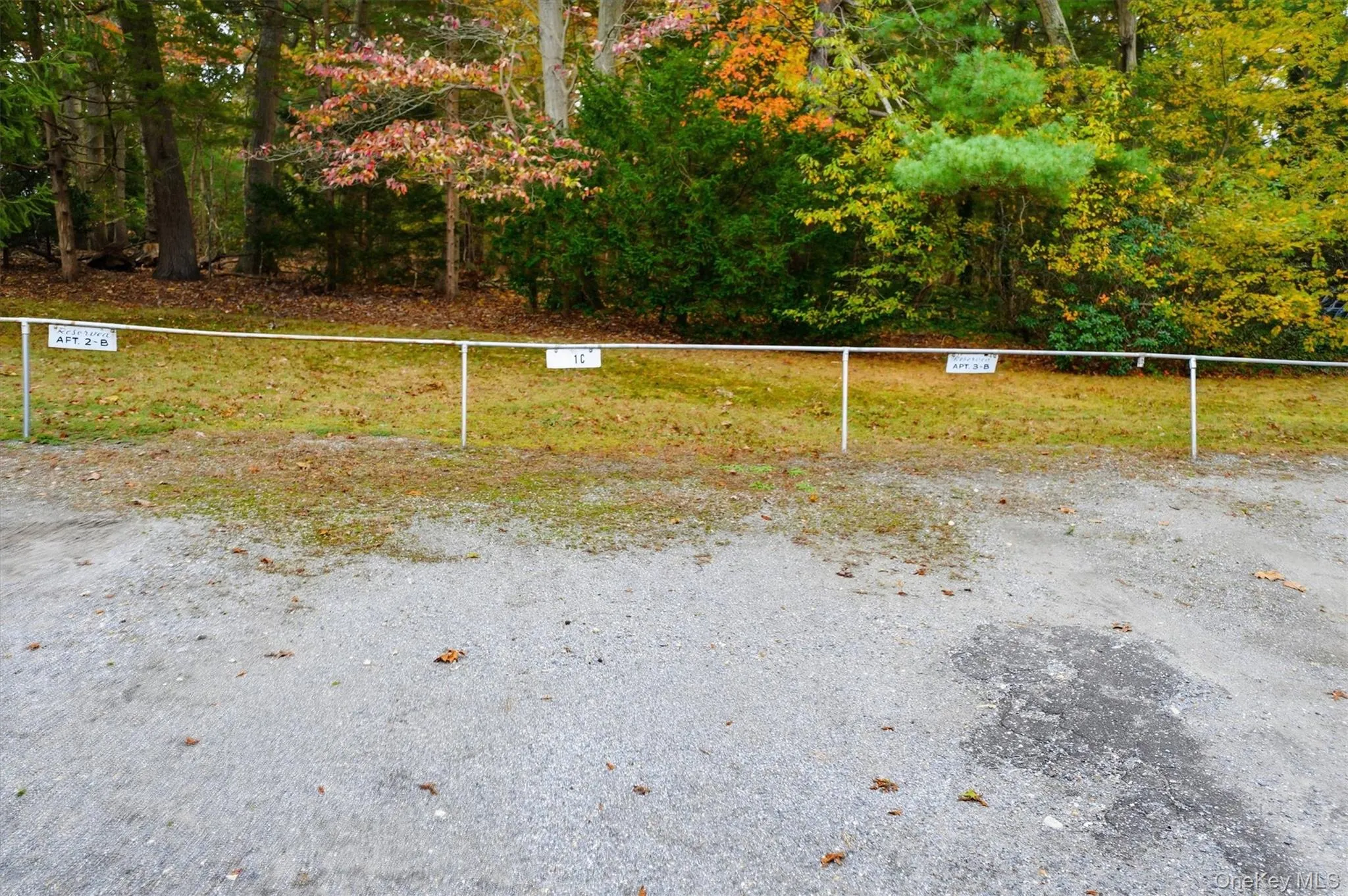 Parking Spot Parking Spot