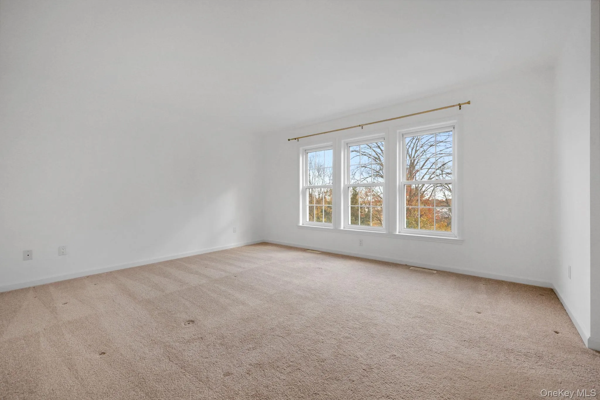 Spare room featuring light carpet and baseboards Spare room featuring light carpet and baseboards