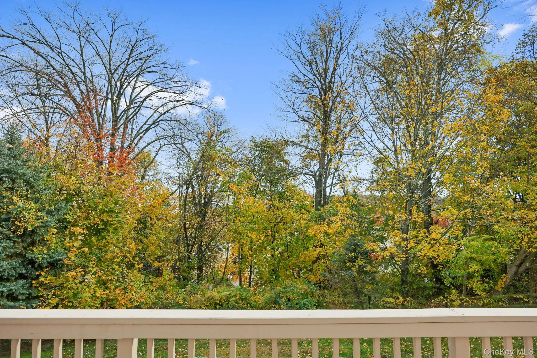 45 High Point Circle, Rye Town, NY, 3 Bedrooms Bedrooms, 15 Rooms Rooms,3 BathroomsBathrooms,Residential Lease,Idx,High Point,0,933307 45 High Point Circle, Rye Town, NY, 3 Bedrooms Bedrooms, 15 Rooms Rooms,3 BathroomsBathrooms,Residential Lease,Idx,High Point,0,933307