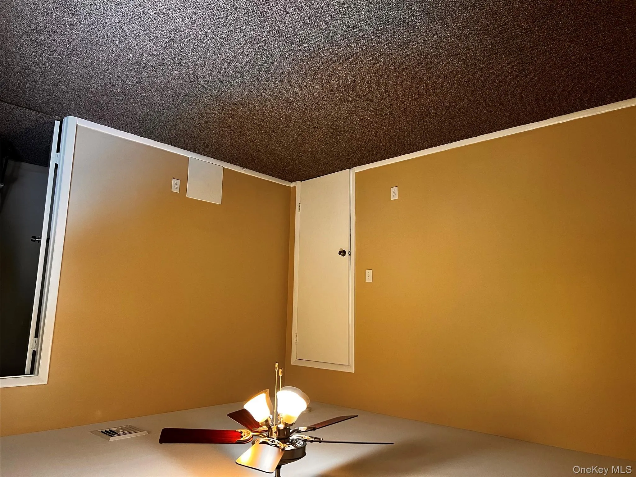 Carpeted empty room with baseboards and ceiling fan Carpeted empty room with baseboards and ceiling fan