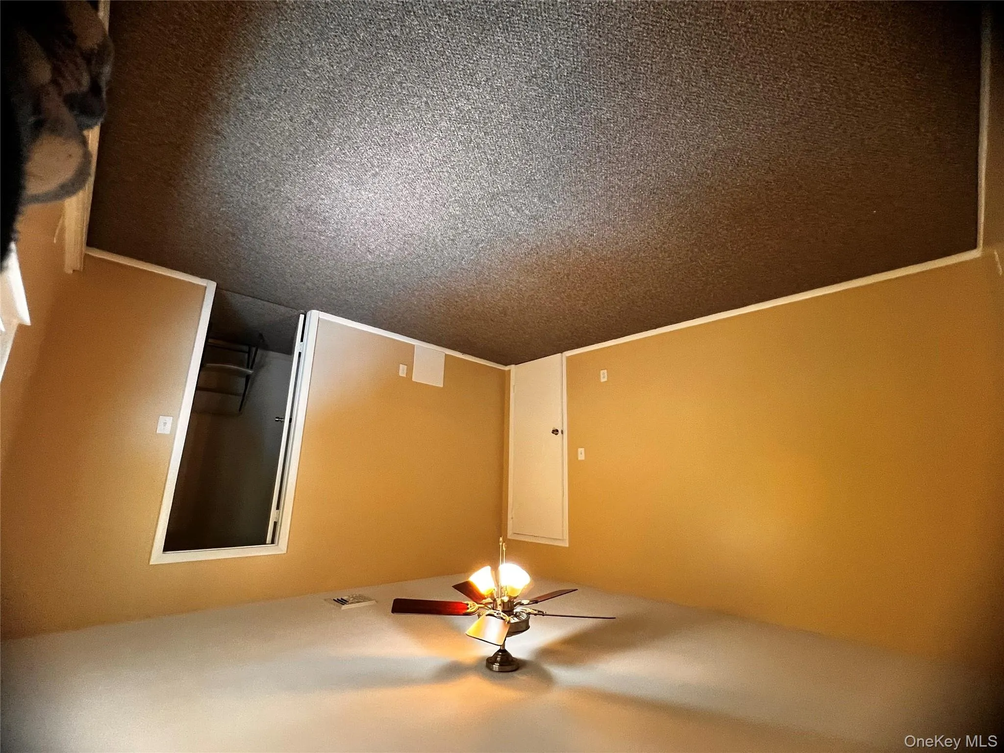 Carpeted spare room with baseboards and a ceiling fan Carpeted spare room with baseboards and a ceiling fan