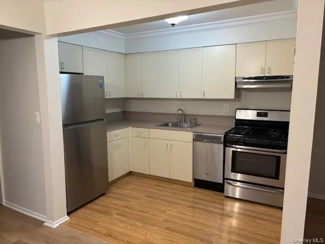 Kitchen featuring stainless steel appliances, ornamental molding, light wood finished floors, and exhaust hood Kitchen featuring stainless steel appliances, ornamental molding, light wood finished floors, and exhaust hood