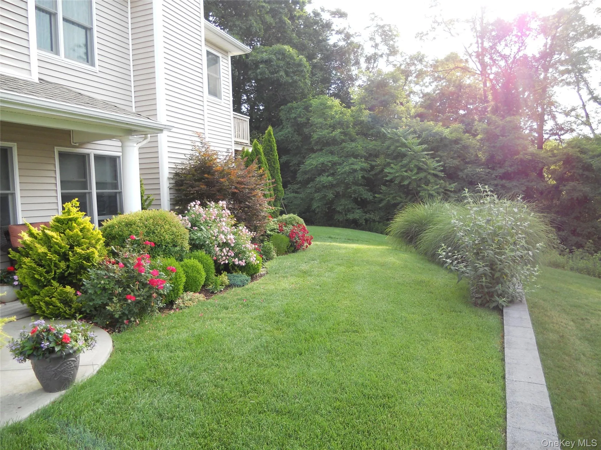 View of green lawn View of green lawn