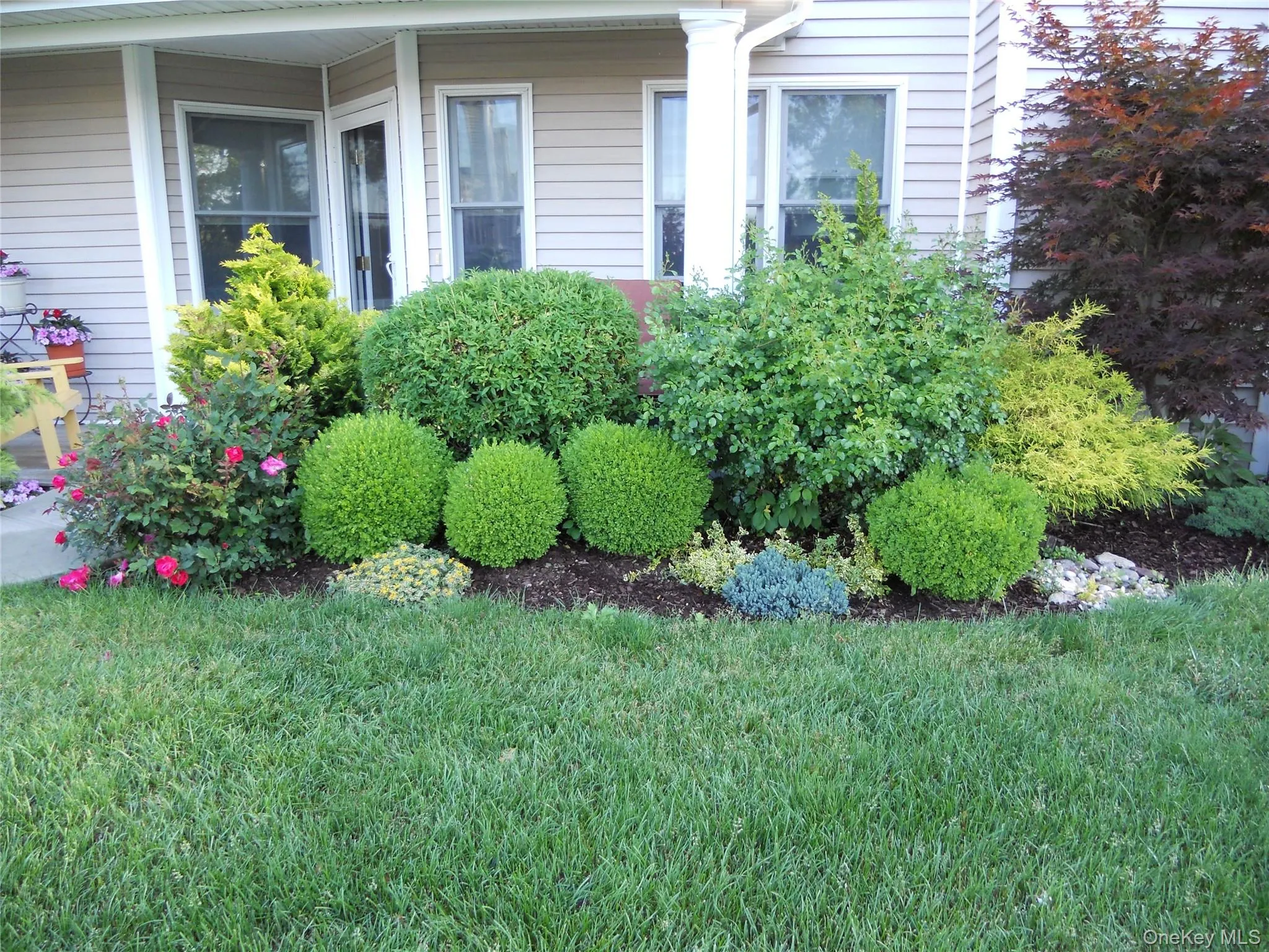 View of green lawn View of green lawn