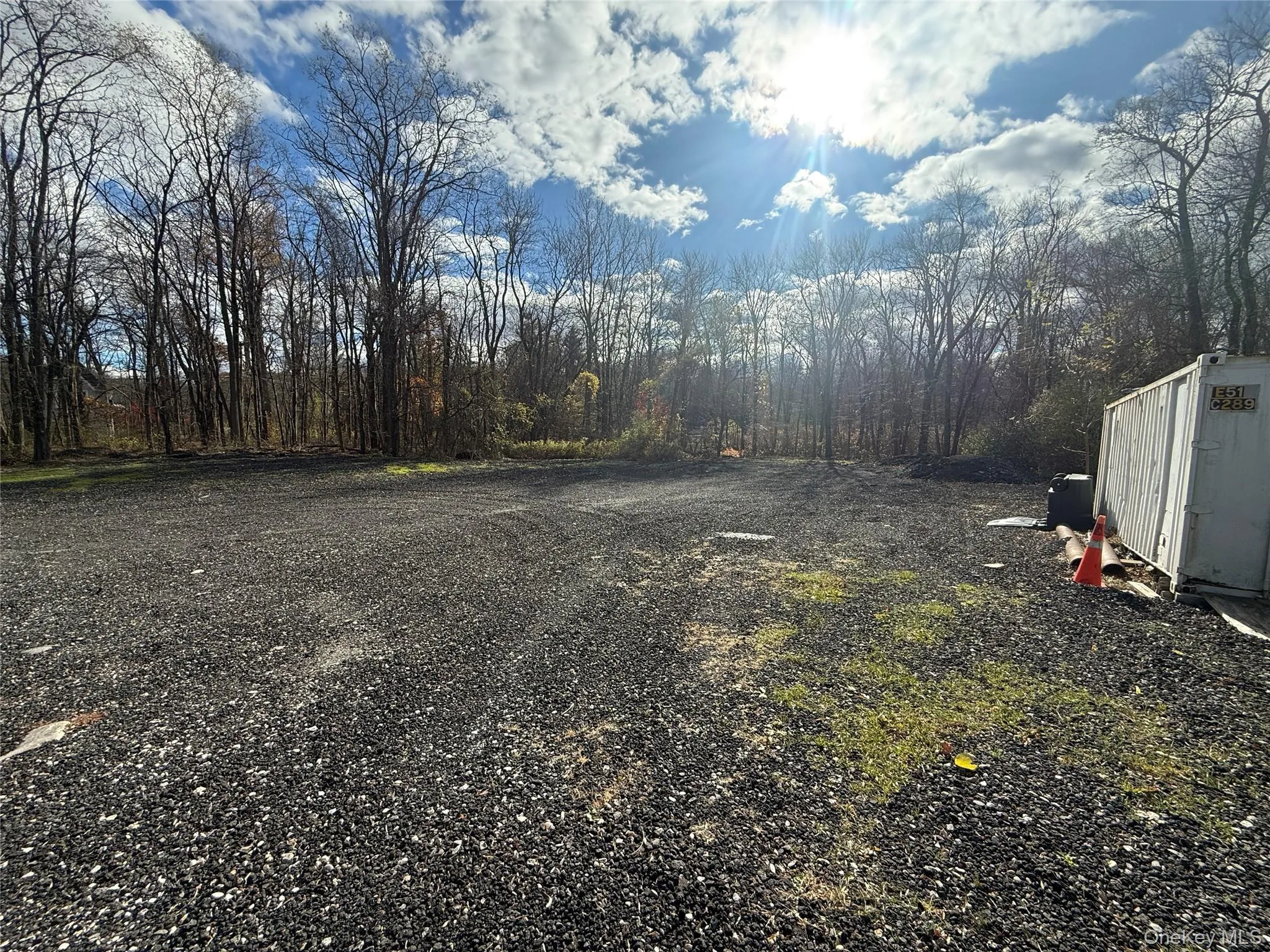 View of yard with a forest view View of yard with a forest view
