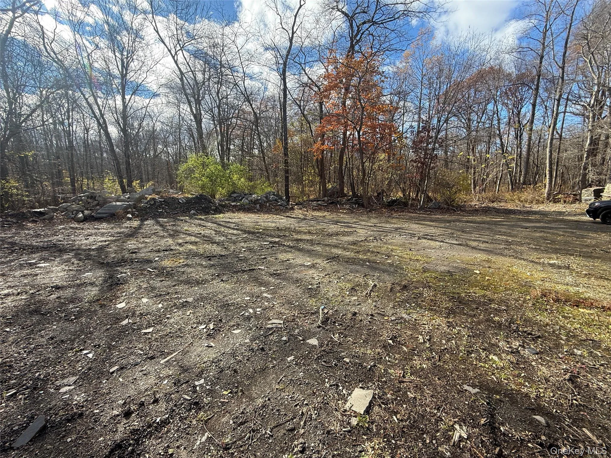 View of yard featuring a wooded view View of yard featuring a wooded view