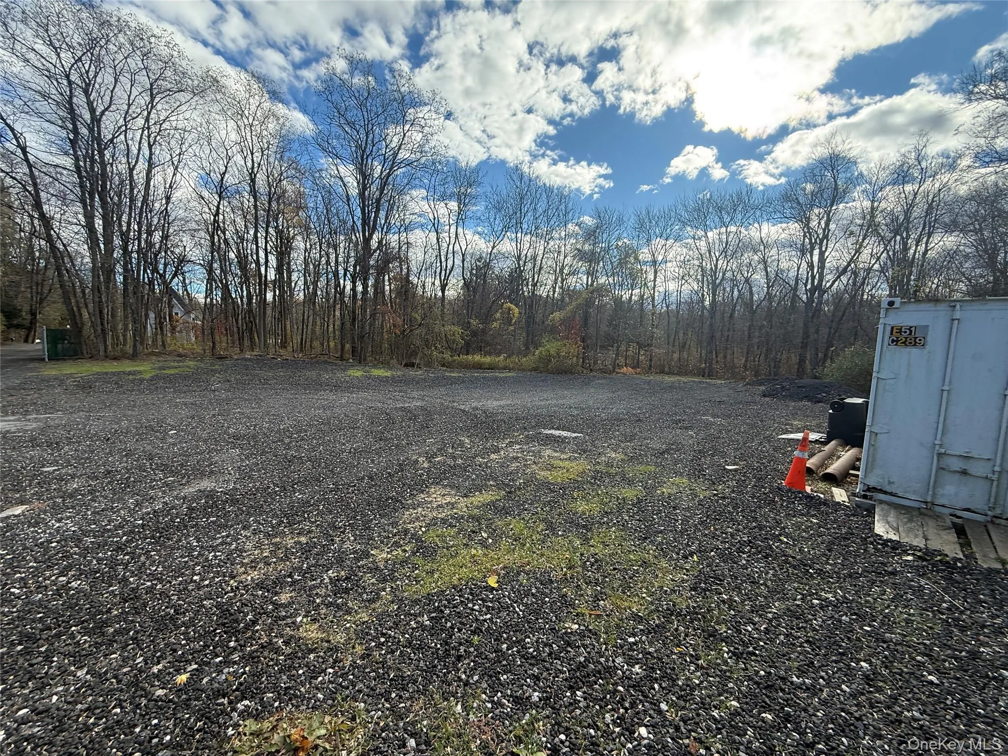 View of yard featuring a view of trees View of yard featuring a view of trees