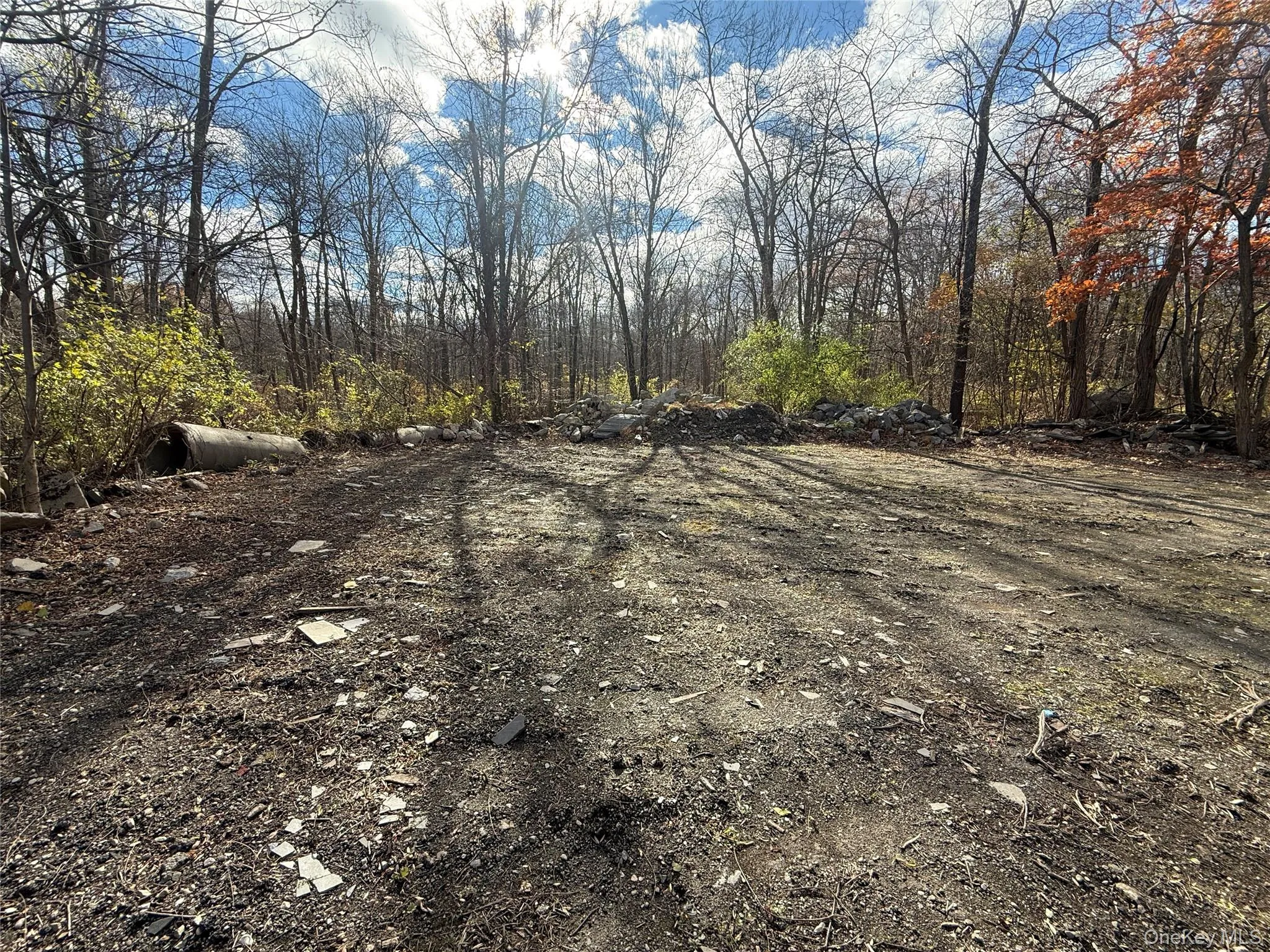 View of yard featuring a view of trees View of yard featuring a view of trees