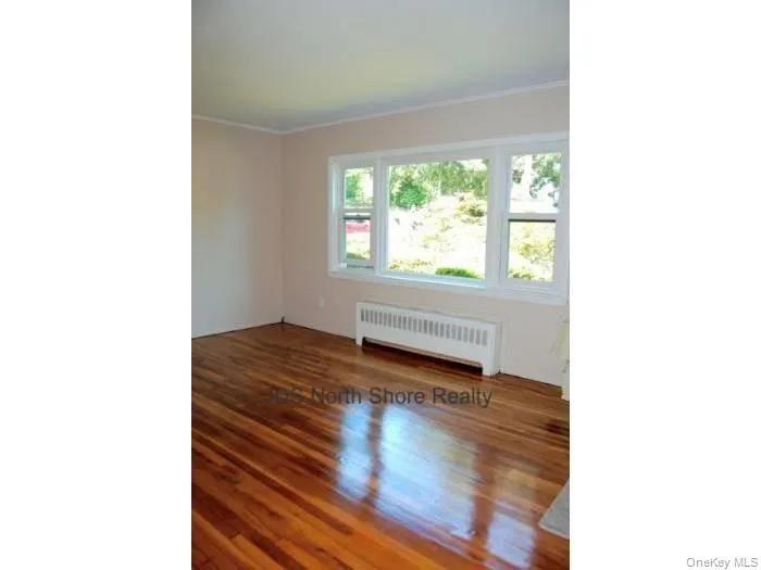 Spare room featuring radiator, dark wood-style floors, and ornamental molding Spare room featuring radiator, dark wood-style floors, and ornamental molding