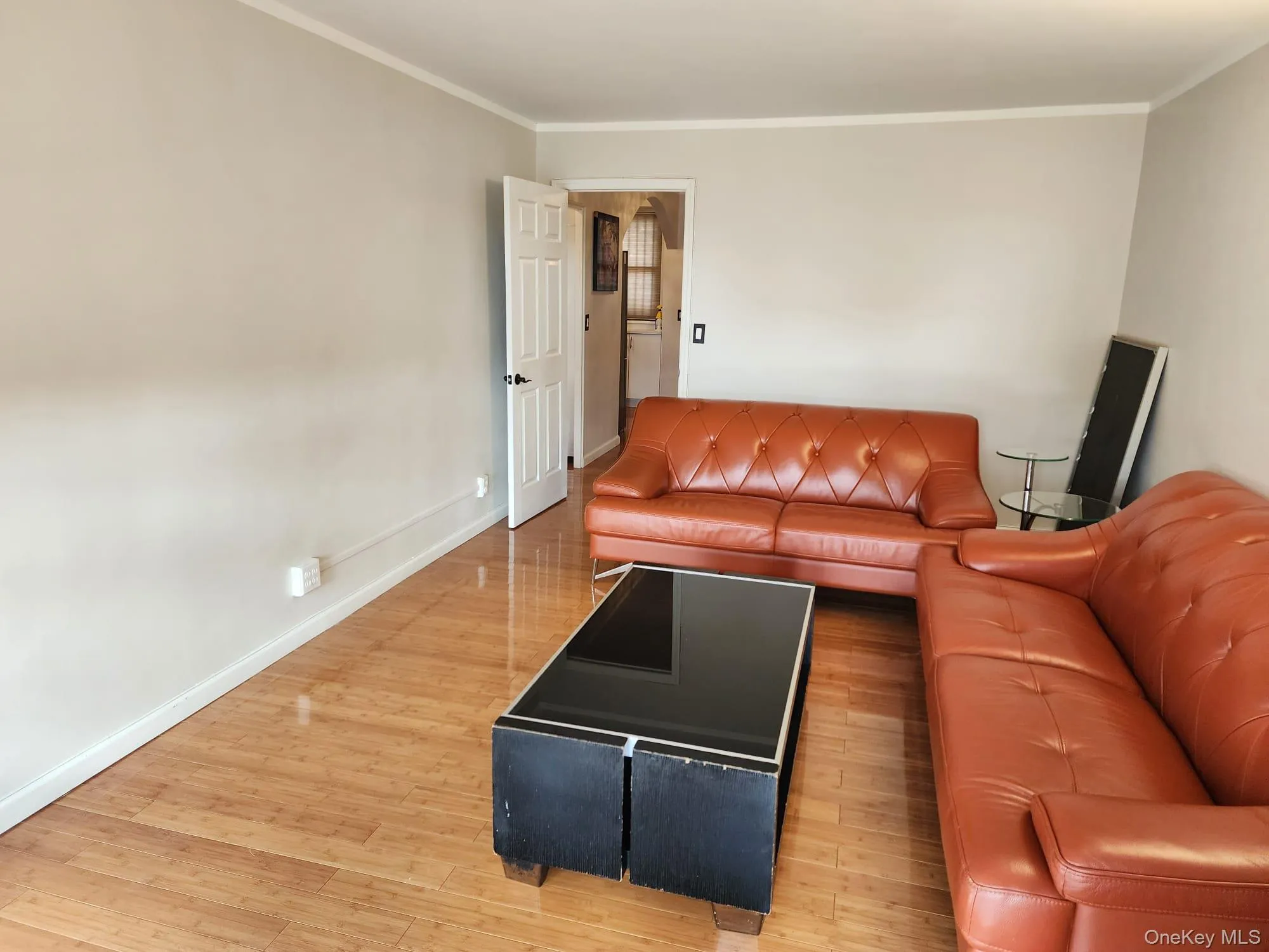 Living room with crown molding and light wood finished floors Living room with crown molding and light wood finished floors