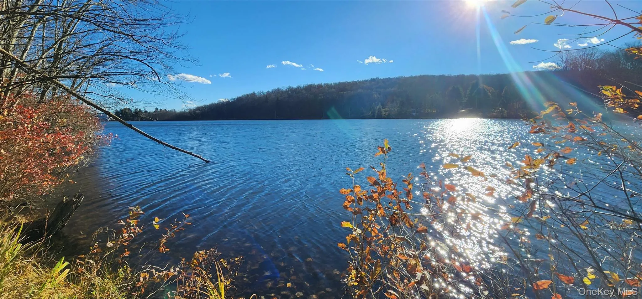 Water view featuring a forest Water view featuring a forest