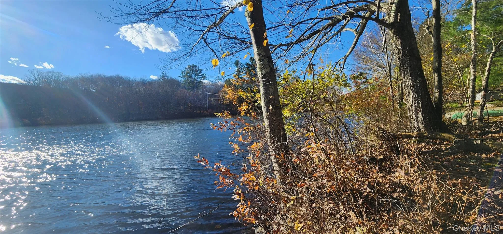 Water view with a heavily wooded area Water view with a heavily wooded area