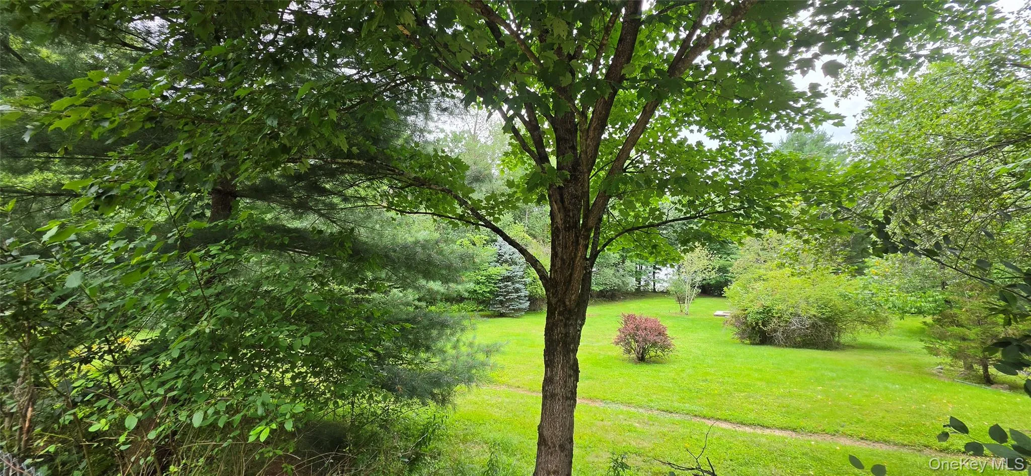 371 Kelly Bridge Road, Liberty, NY, 2 Bedrooms Bedrooms, 4 Rooms Rooms,1 BathroomBathrooms,Residential,For Rent,Kelly Bridge,0,933699 371 Kelly Bridge Road, Liberty, NY, 2 Bedrooms Bedrooms, 4 Rooms Rooms,1 BathroomBathrooms,Residential,For Rent,Kelly Bridge,0,933699
