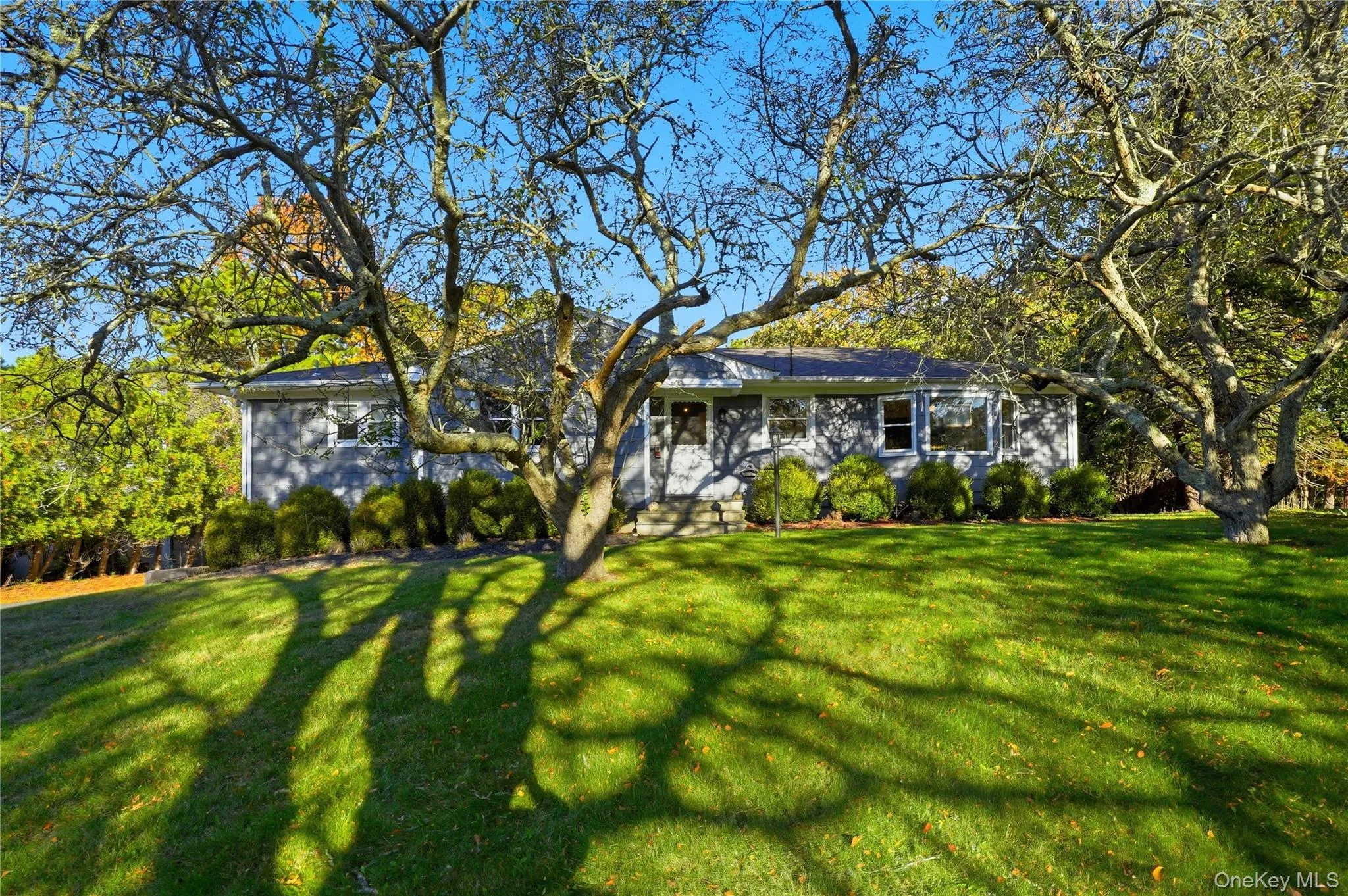 View of front of house featuring a front lawn View of front of house featuring a front lawn