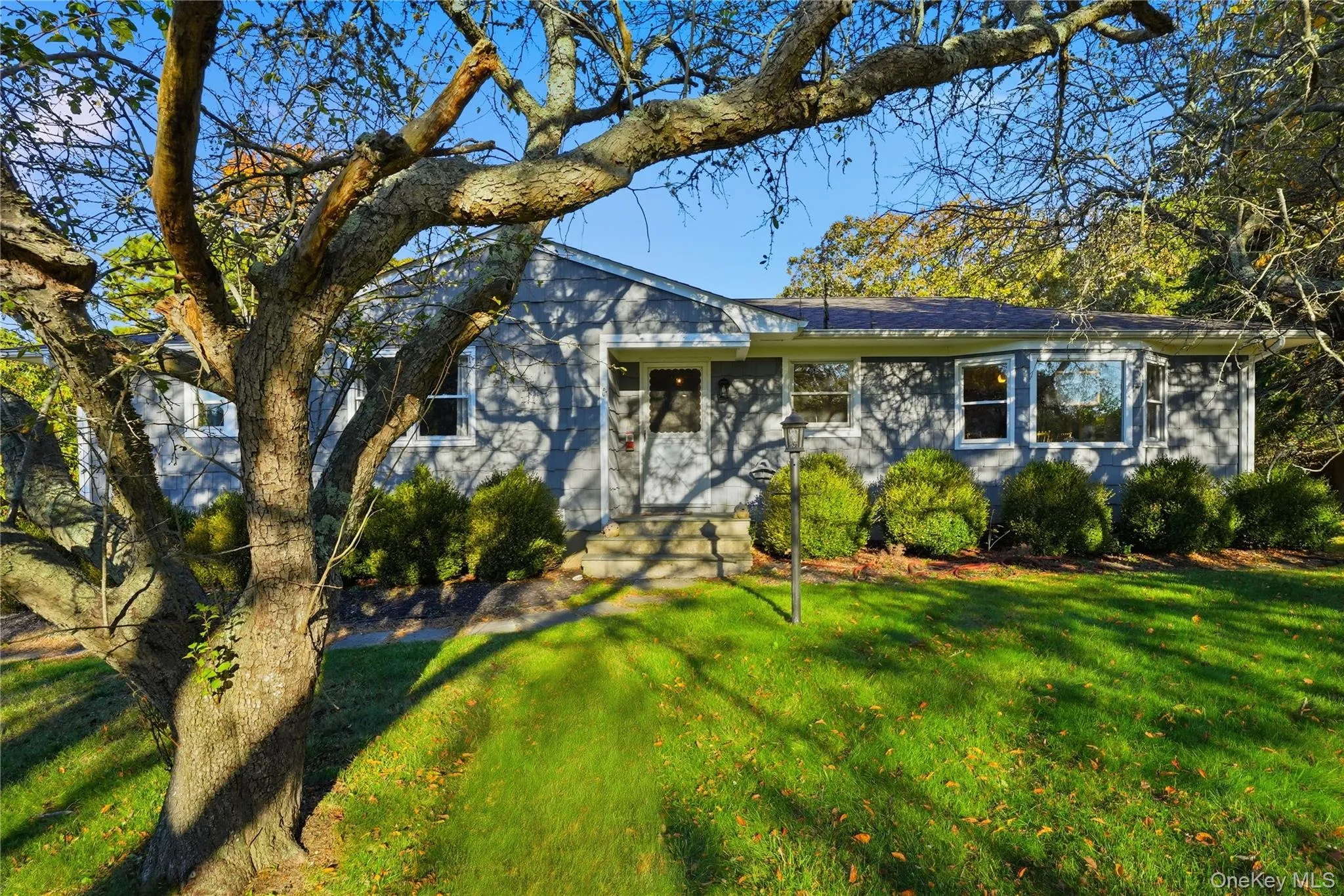Ranch-style home featuring a front lawn Ranch-style home featuring a front lawn