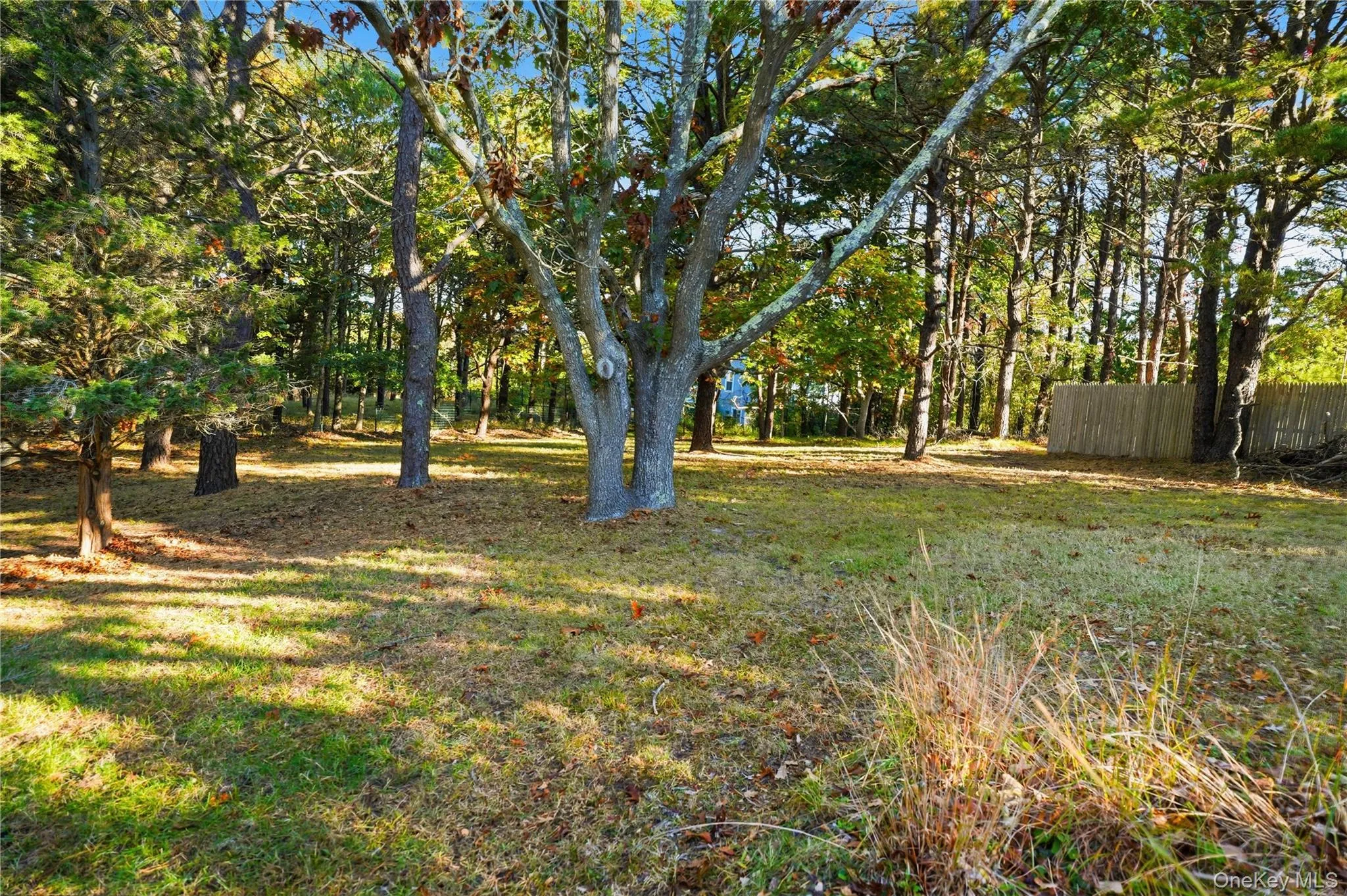 View of yard with view of wooded area View of yard with view of wooded area