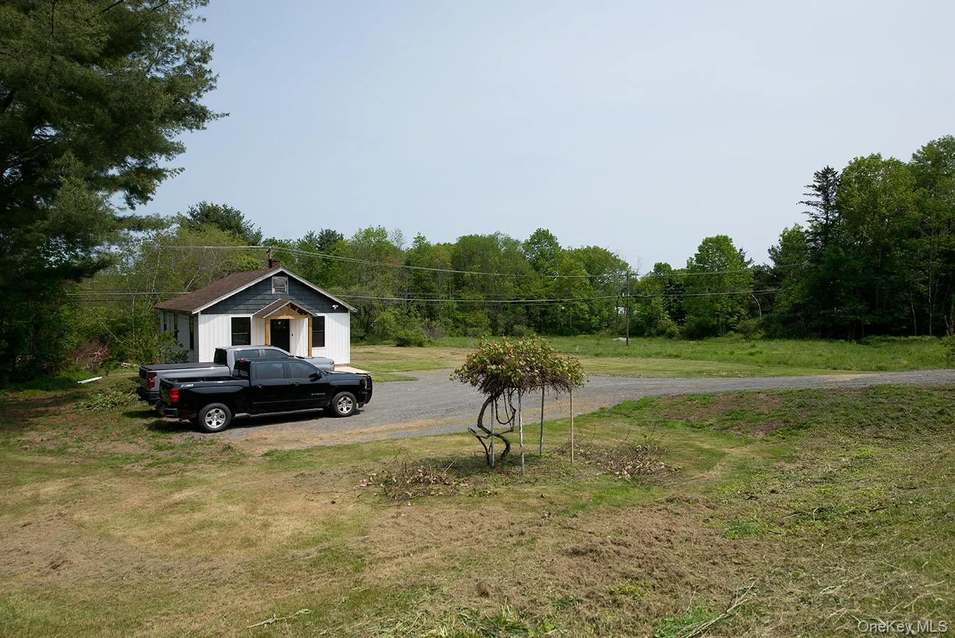 View of green lawn featuring view of wooded area View of green lawn featuring view of wooded area