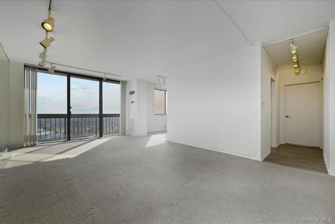 Unfurnished room featuring carpet floors, floor to ceiling windows, and track lighting Unfurnished room featuring carpet floors, floor to ceiling windows, and track lighting