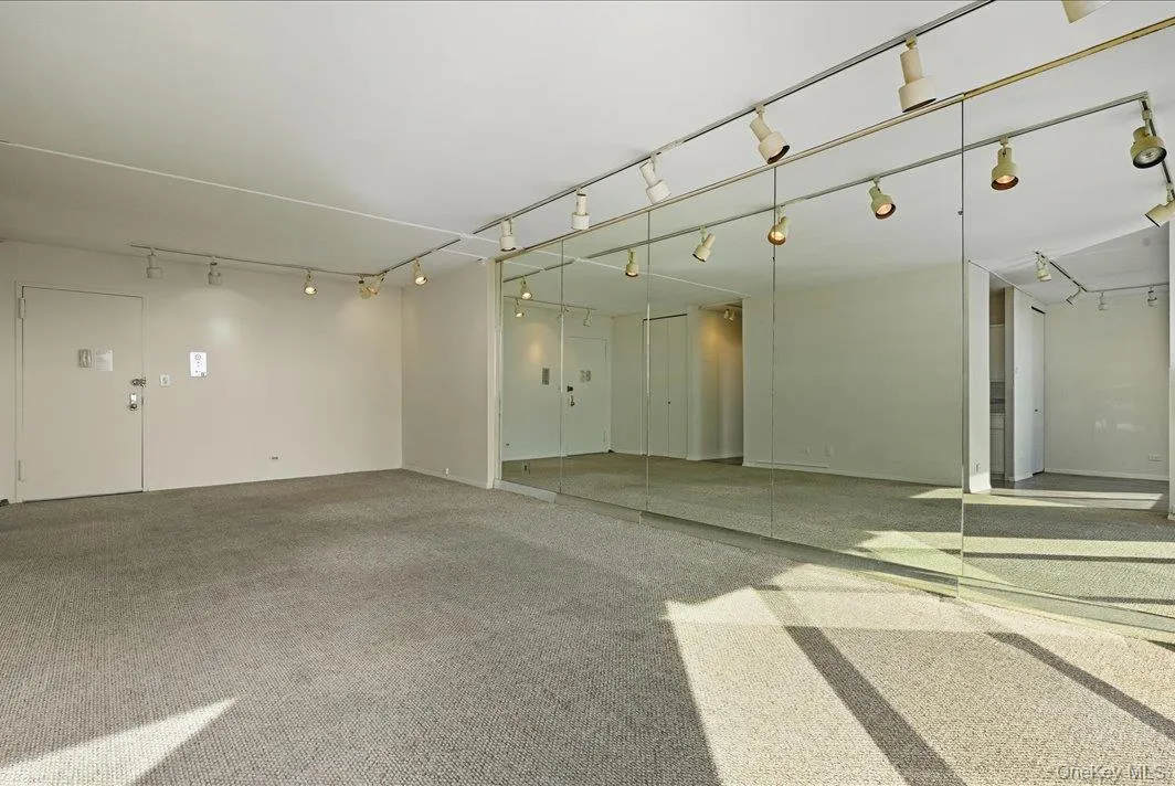 Carpeted spare room featuring track lighting Carpeted spare room featuring track lighting