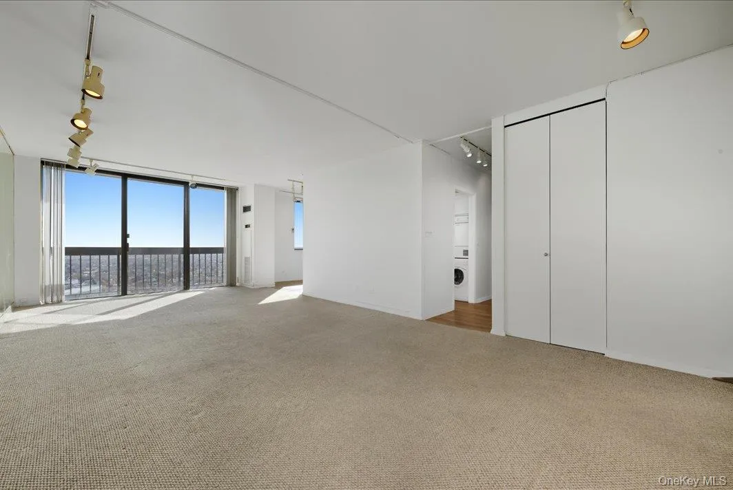 Unfurnished living room featuring rail lighting, a wall of windows, carpet, and washer / dryer Unfurnished living room featuring rail lighting, a wall of windows, carpet, and washer / dryer