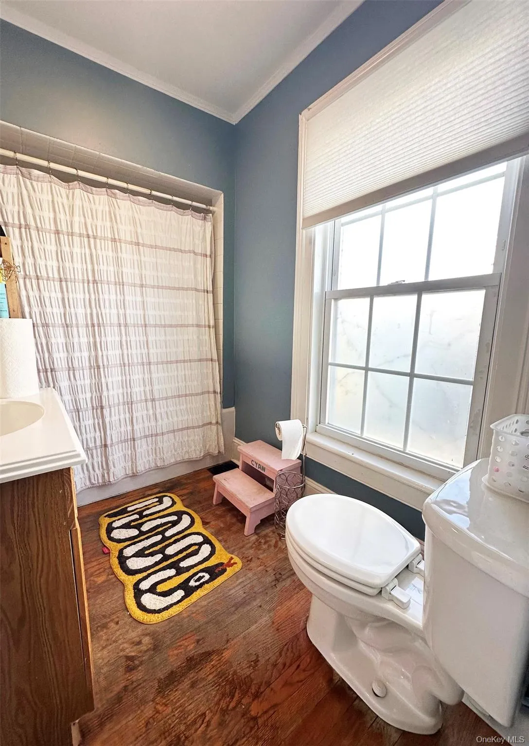 Bathroom featuring vanity, dark wood-style floors, crown molding, and a shower with curtain Bathroom featuring vanity, dark wood-style floors, crown molding, and a shower with curtain