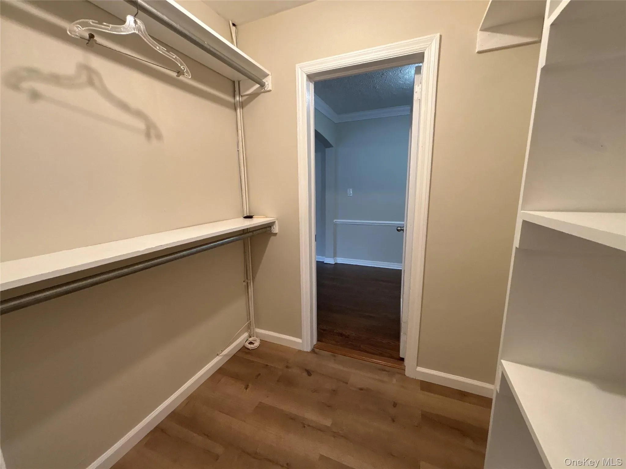 Spacious closet featuring dark wood-style flooring Spacious closet featuring dark wood-style flooring