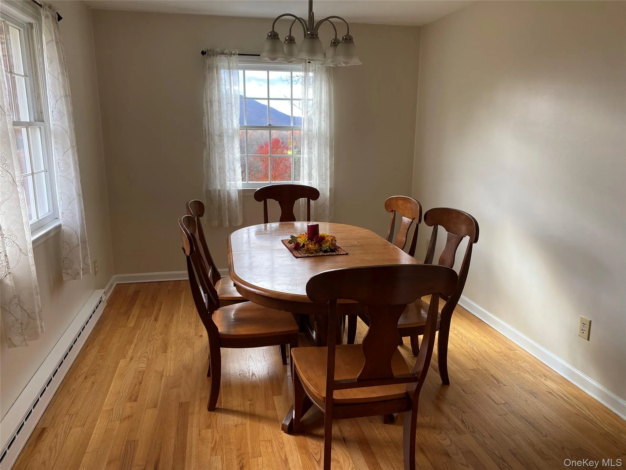 Dining room featuring baseboard heating, hardwood floors and a chandelier Dining room featuring baseboard heating, hardwood floors and a chandelier