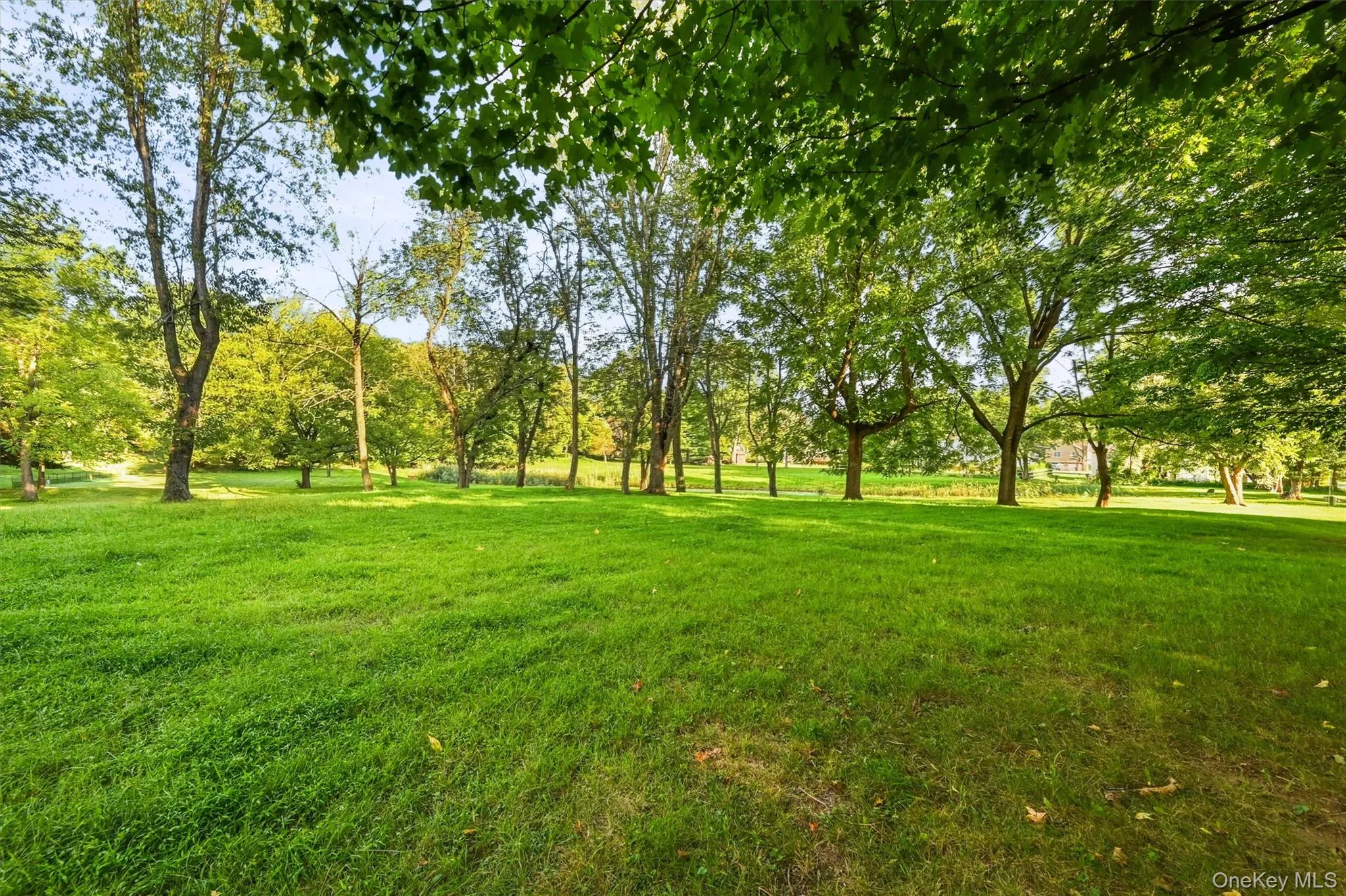 The neighborhood park offers a place to walk right across the street, with a reflective bench to contemplate the beautfy of the trees... The neighborhood park offers a place to walk right across the street, with a reflective bench to contemplate the beautfy of the trees...