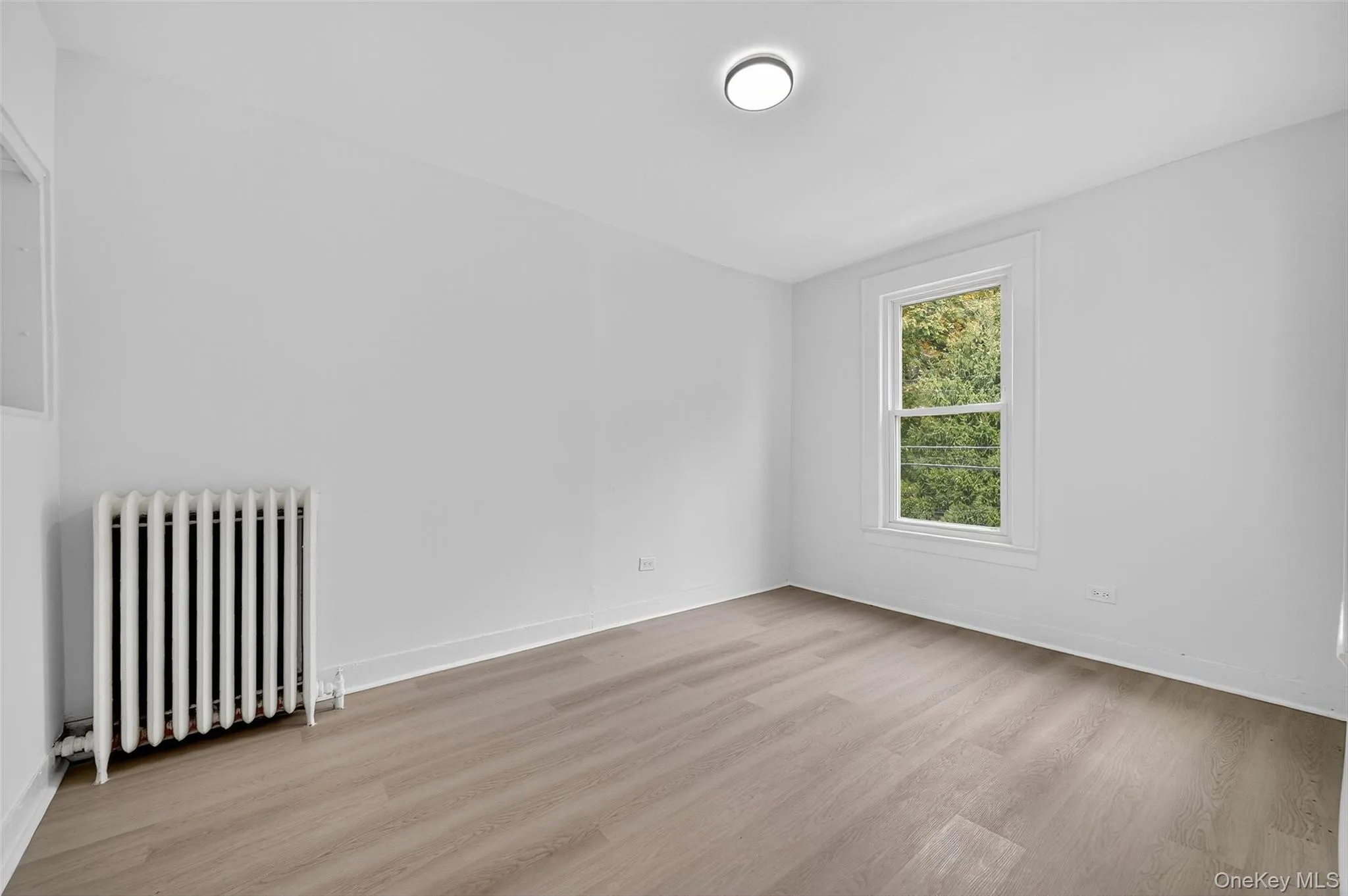 Unfurnished room with radiator heating unit and light wood-style floors Unfurnished room with radiator heating unit and light wood-style floors