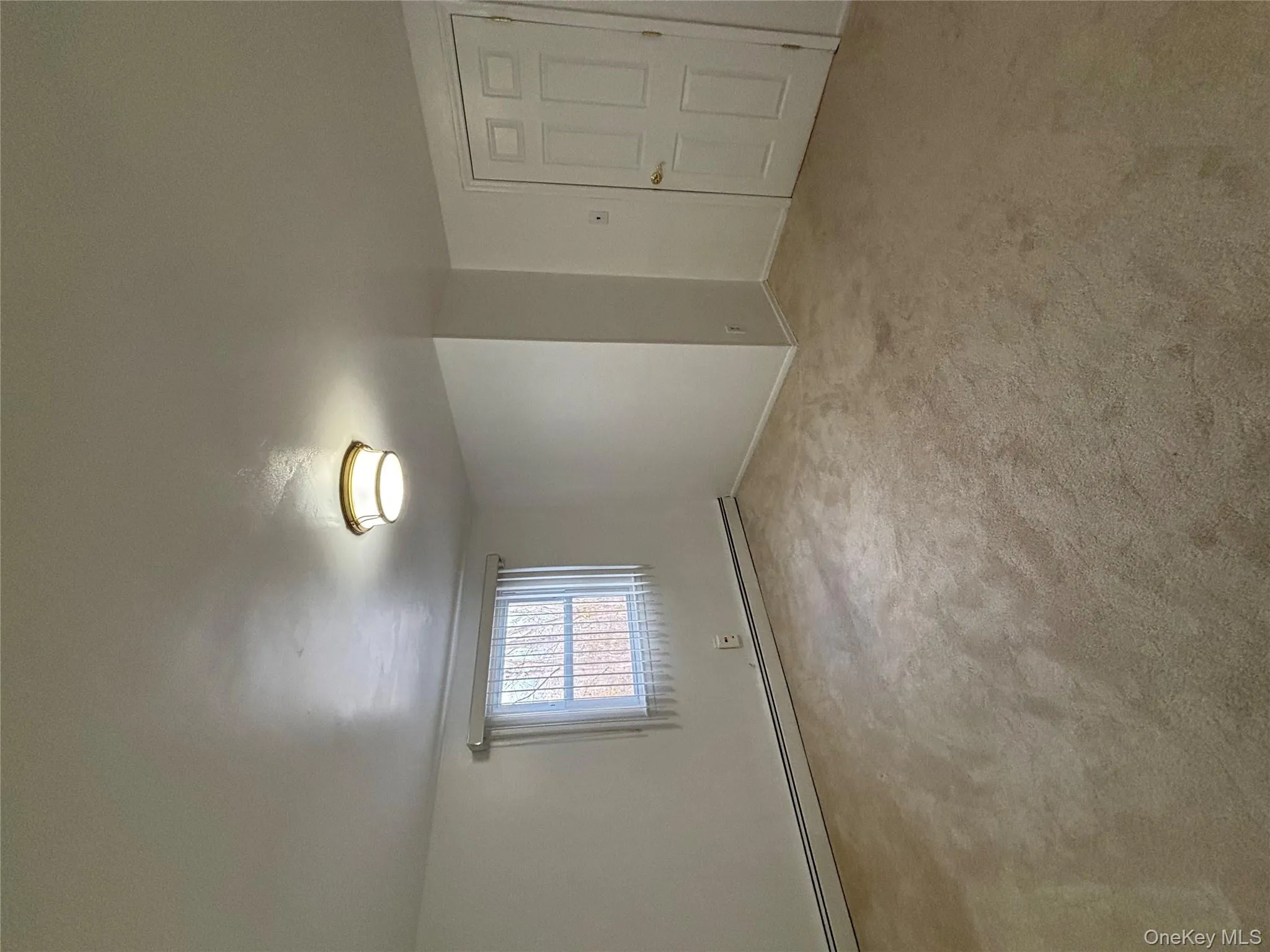 Spare room with a baseboard radiator and light carpet Spare room with a baseboard radiator and light carpet