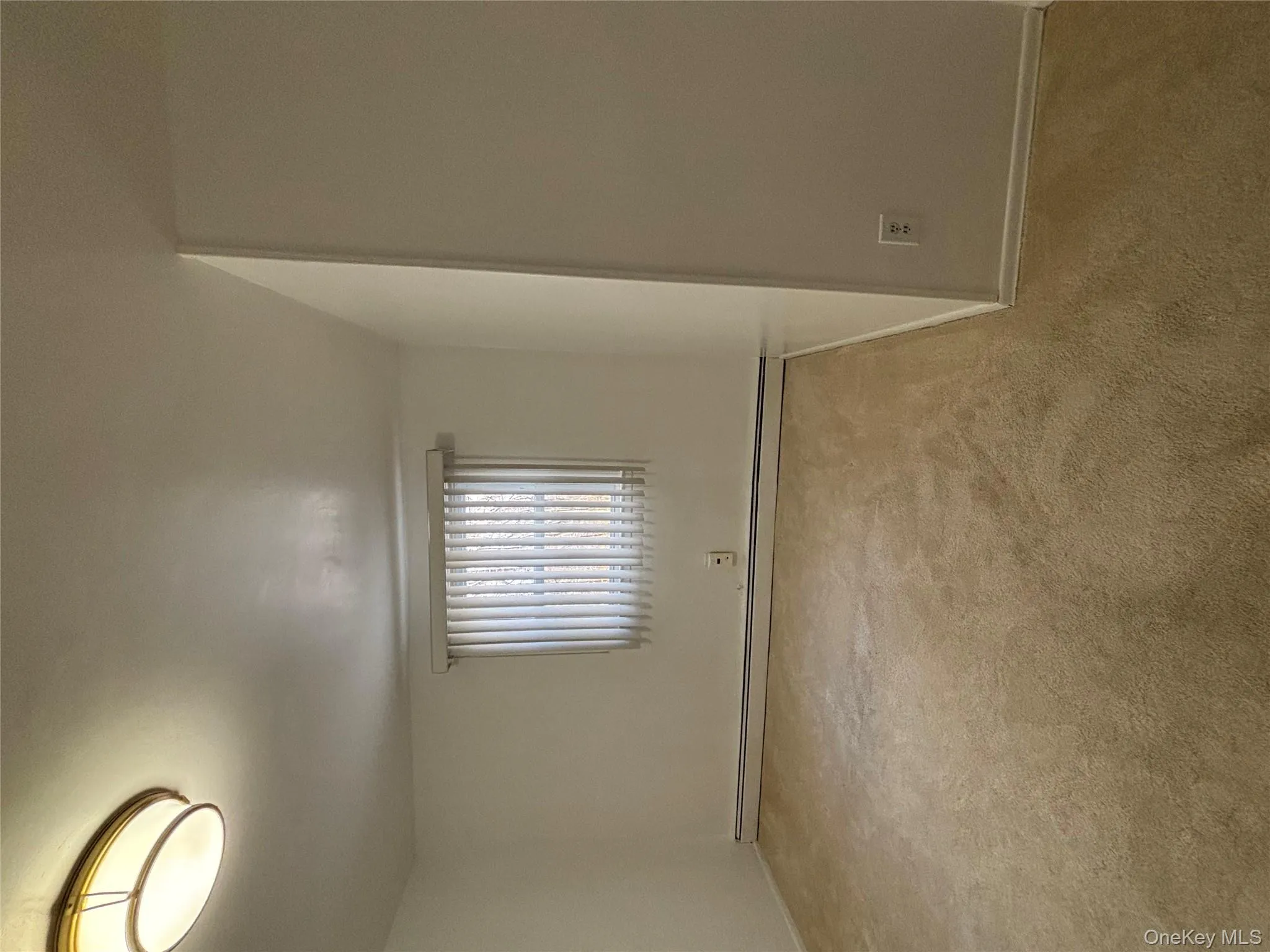 Unfurnished room featuring light colored carpet and a baseboard radiator Unfurnished room featuring light colored carpet and a baseboard radiator