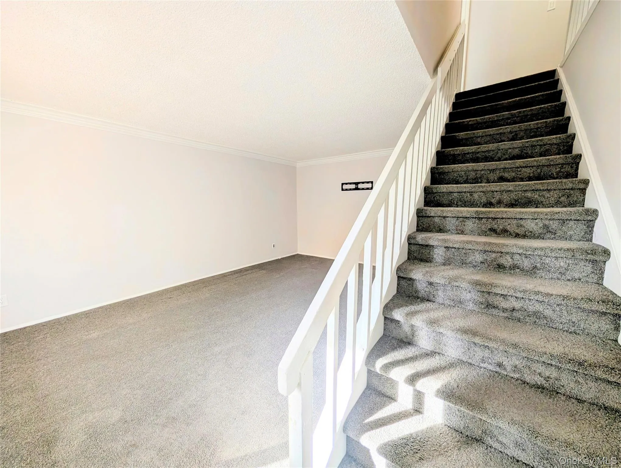 Stairway with crown molding and carpet flooring Stairway with crown molding and carpet flooring