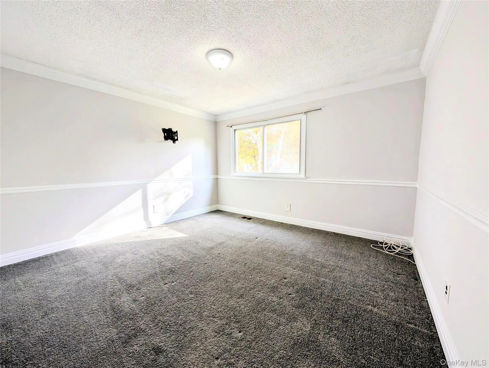 Empty room featuring crown molding, carpet, and a textured ceiling Empty room featuring crown molding, carpet, and a textured ceiling