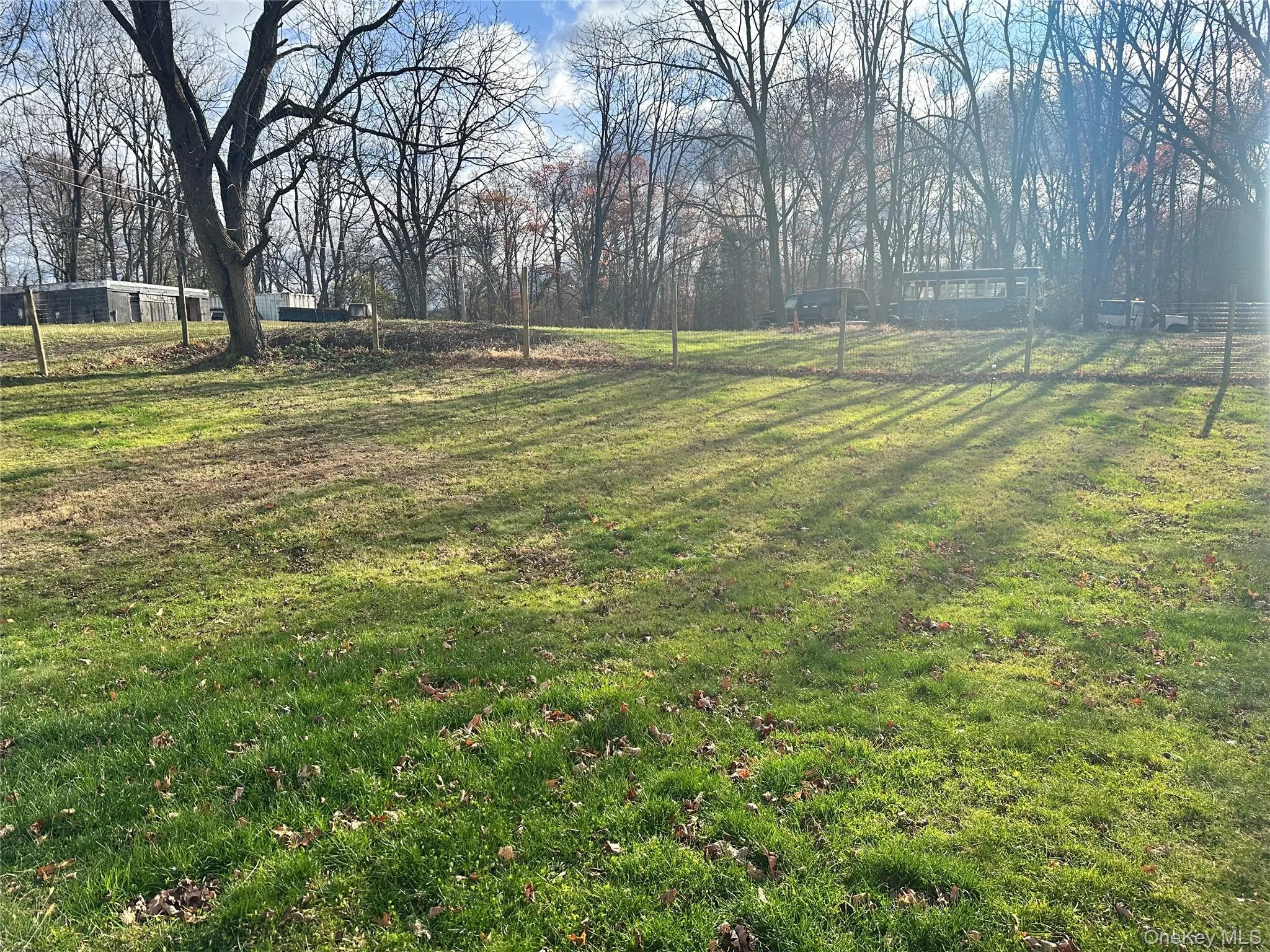 View of yard View of yard