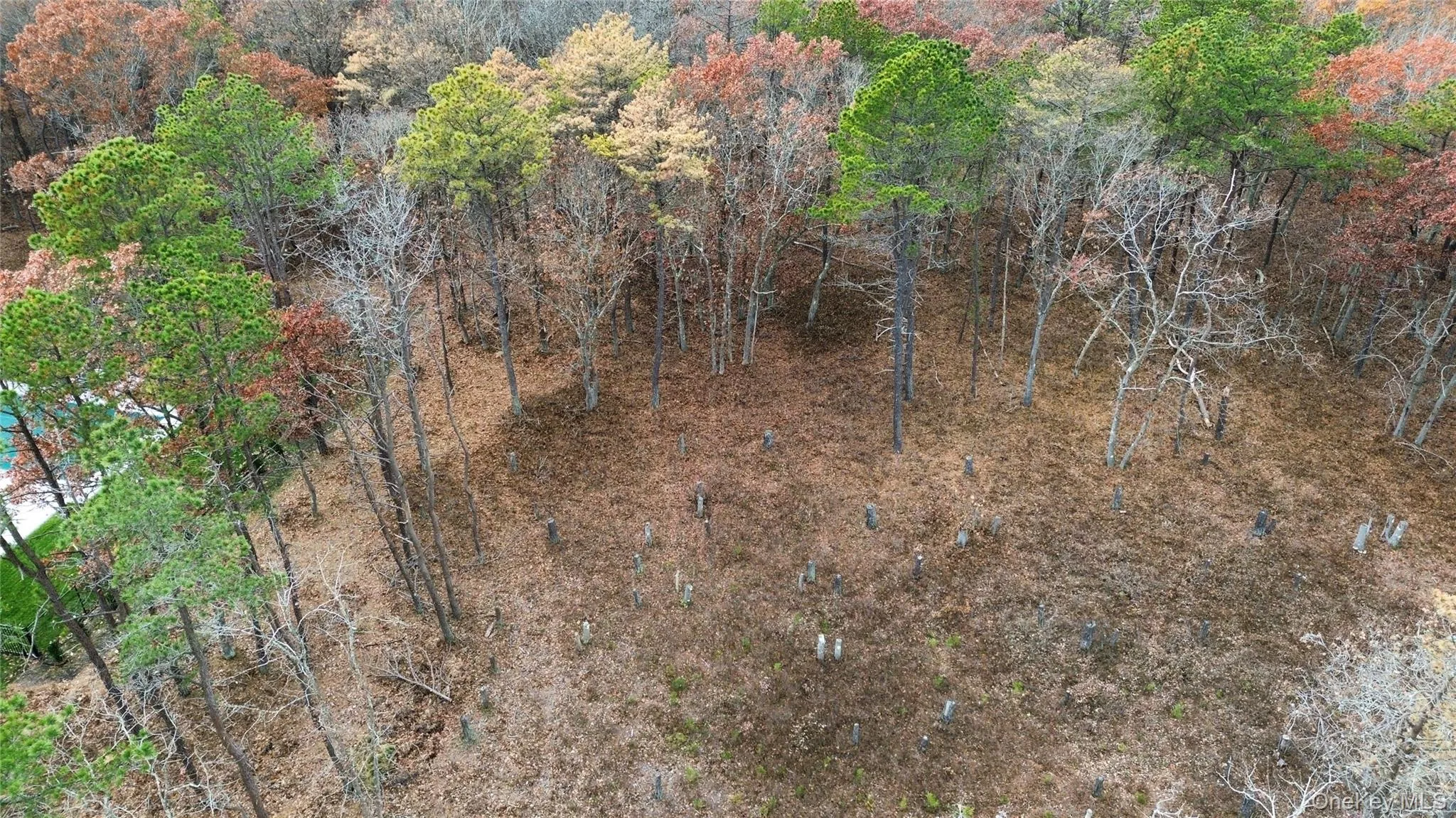 View of property location
