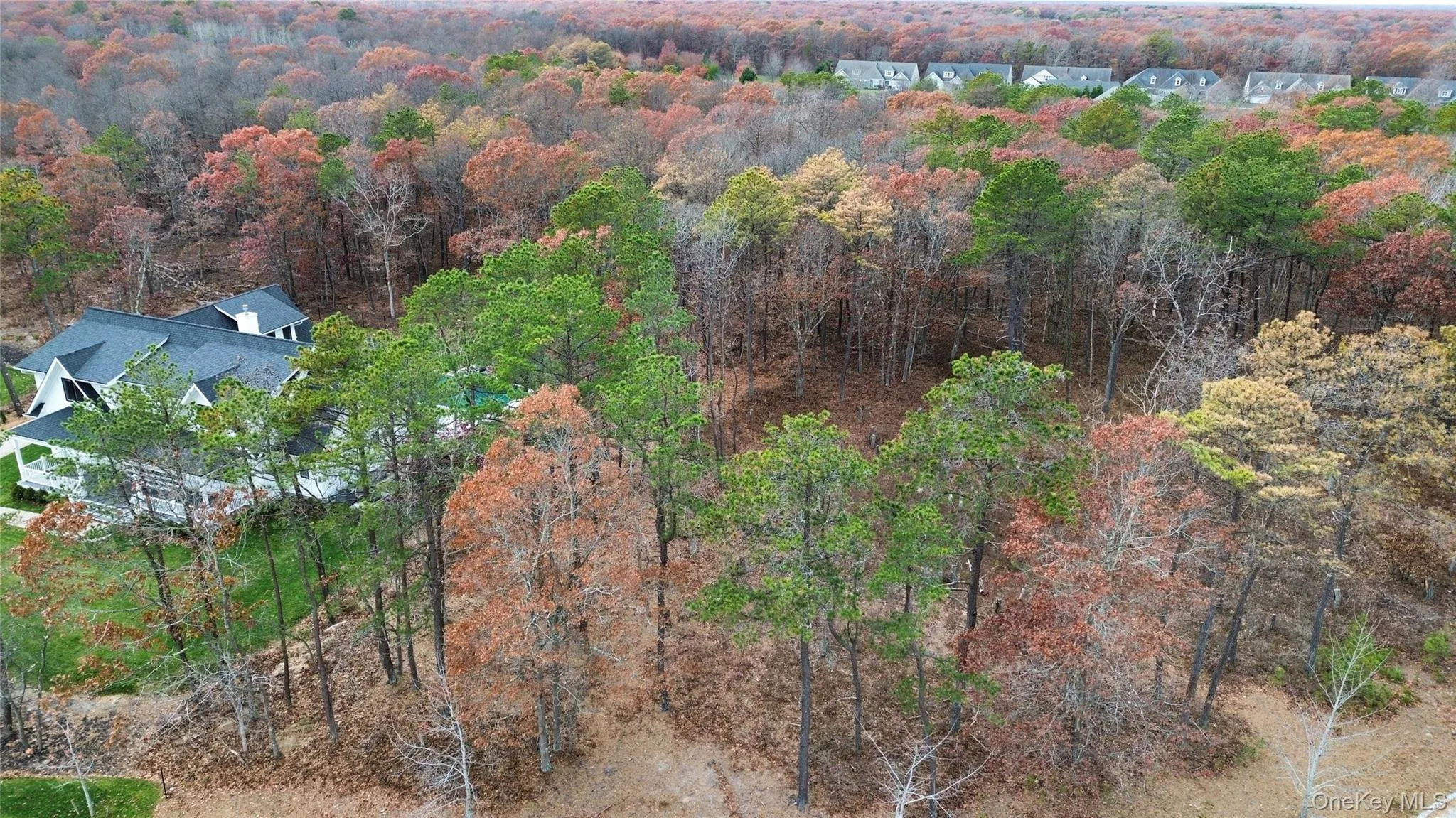 Aerial view of property and surrounding area featuring a forest