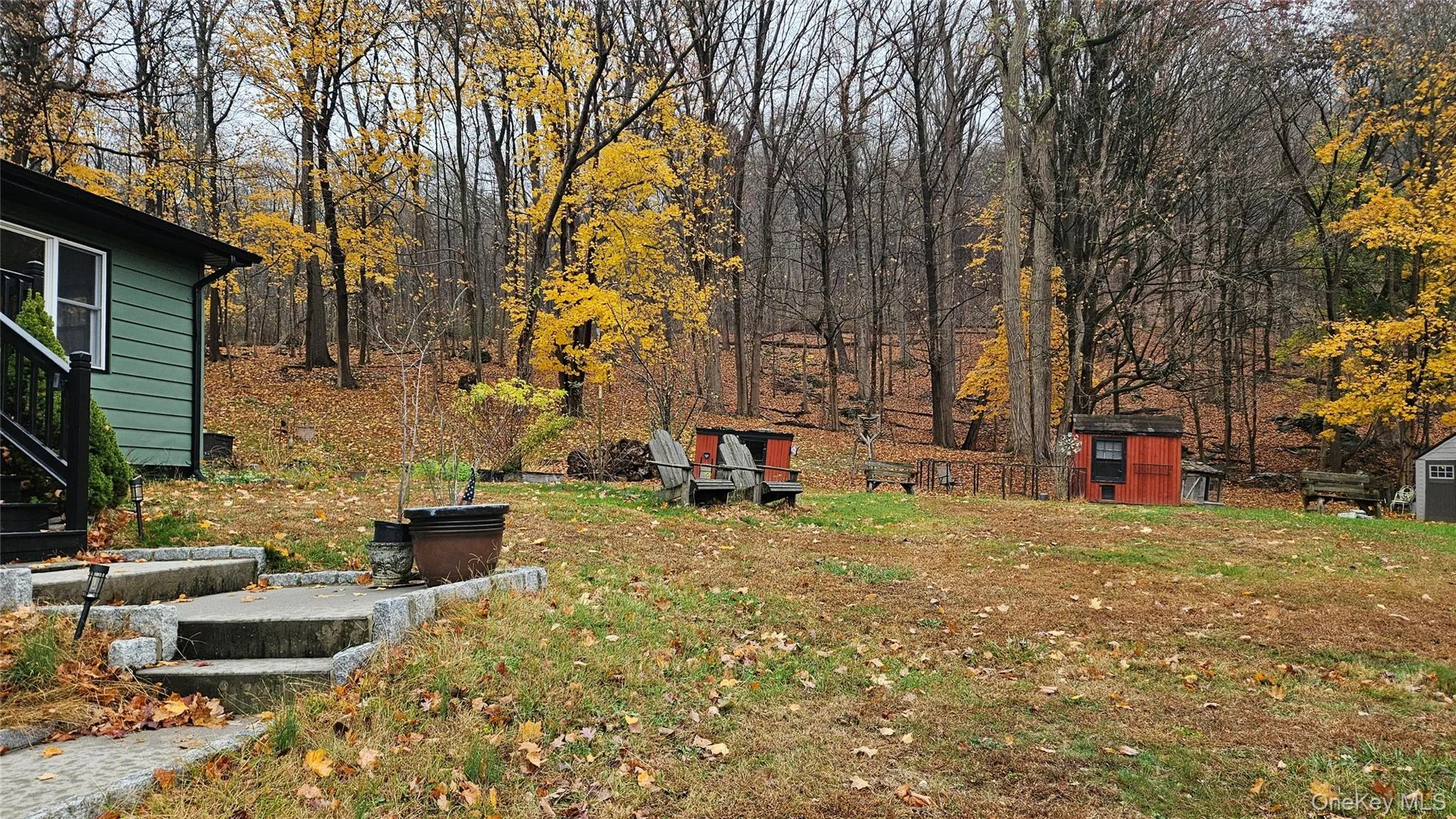 View of yard with a storage unit and a patio area View of yard with a storage unit and a patio area