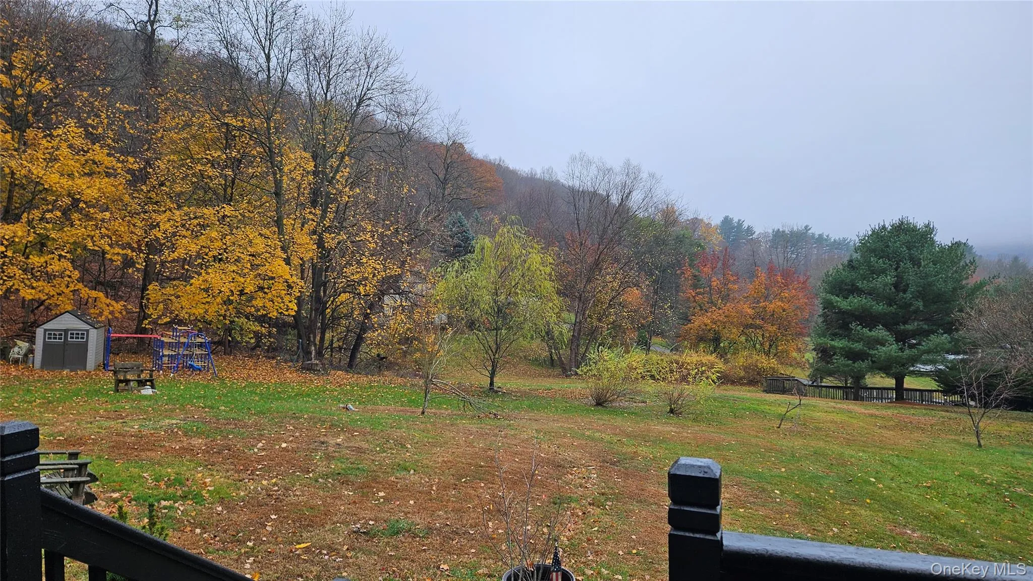 View of grassy yard with a storage shed View of grassy yard with a storage shed