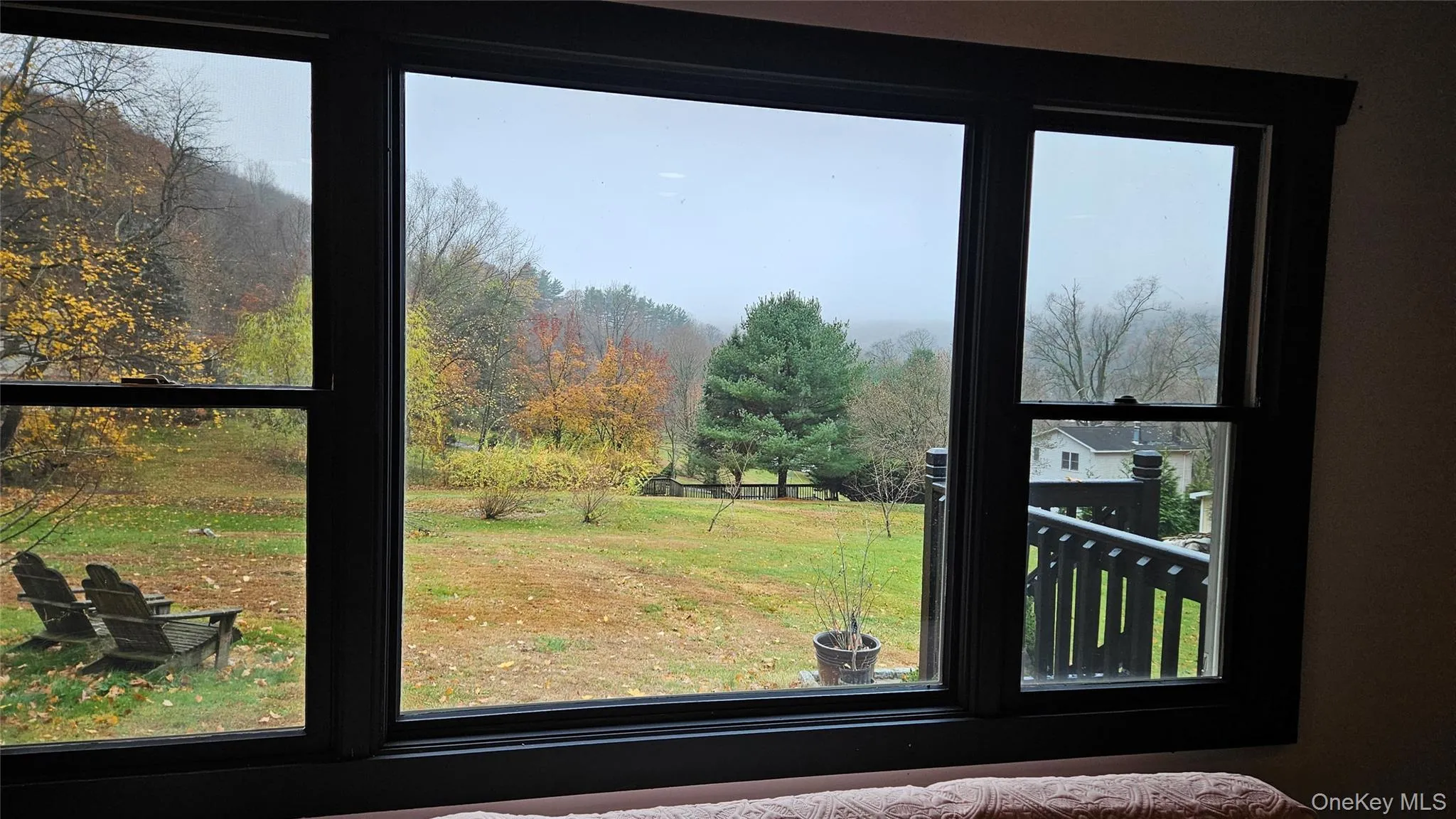 Detailed view of a tree filled landscape Detailed view of a tree filled landscape