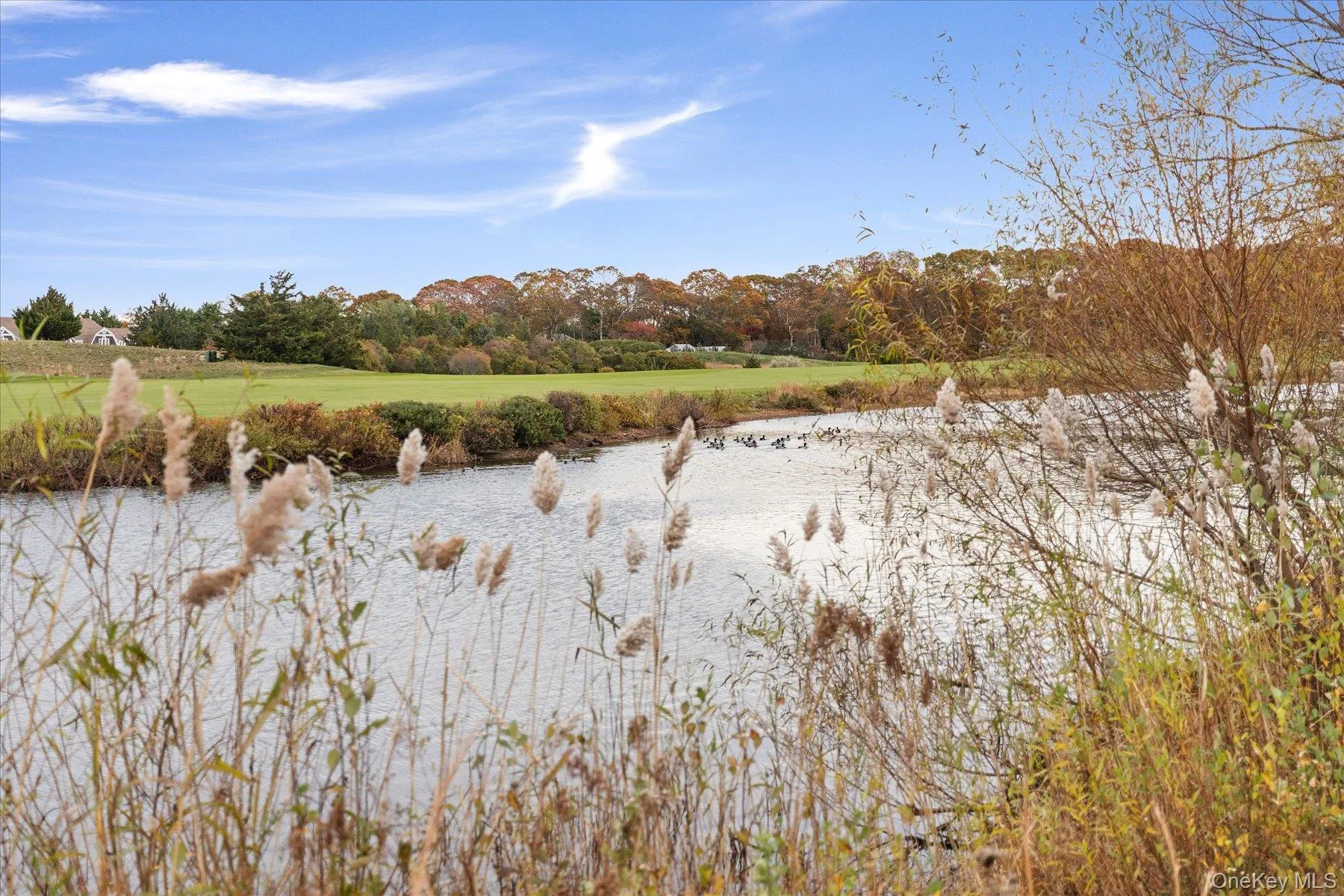 2995 Laurel Trail, Southold, NY, 4 Bedrooms Bedrooms, 10 Rooms Rooms,3 BathroomsBathrooms,Residential Lease,Idx,Laurel,0,934135 2995 Laurel Trail, Southold, NY, 4 Bedrooms Bedrooms, 10 Rooms Rooms,3 BathroomsBathrooms,Residential Lease,Idx,Laurel,0,934135