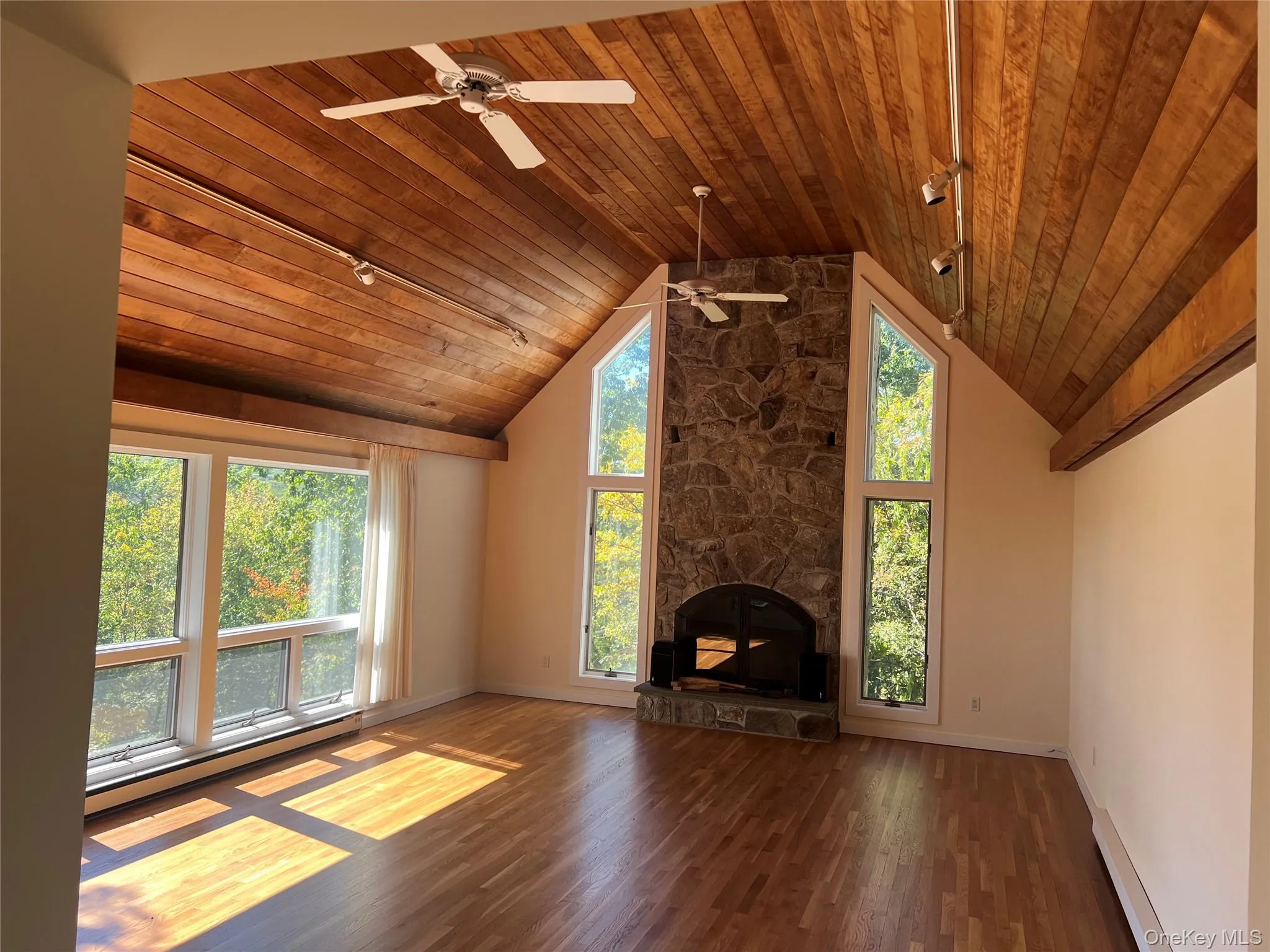 Unfurnished living room with a baseboard heating unit, wood finished floors, wooden ceiling, a fireplace, and rail lighting Unfurnished living room with a baseboard heating unit, wood finished floors, wooden ceiling, a fireplace, and rail lighting