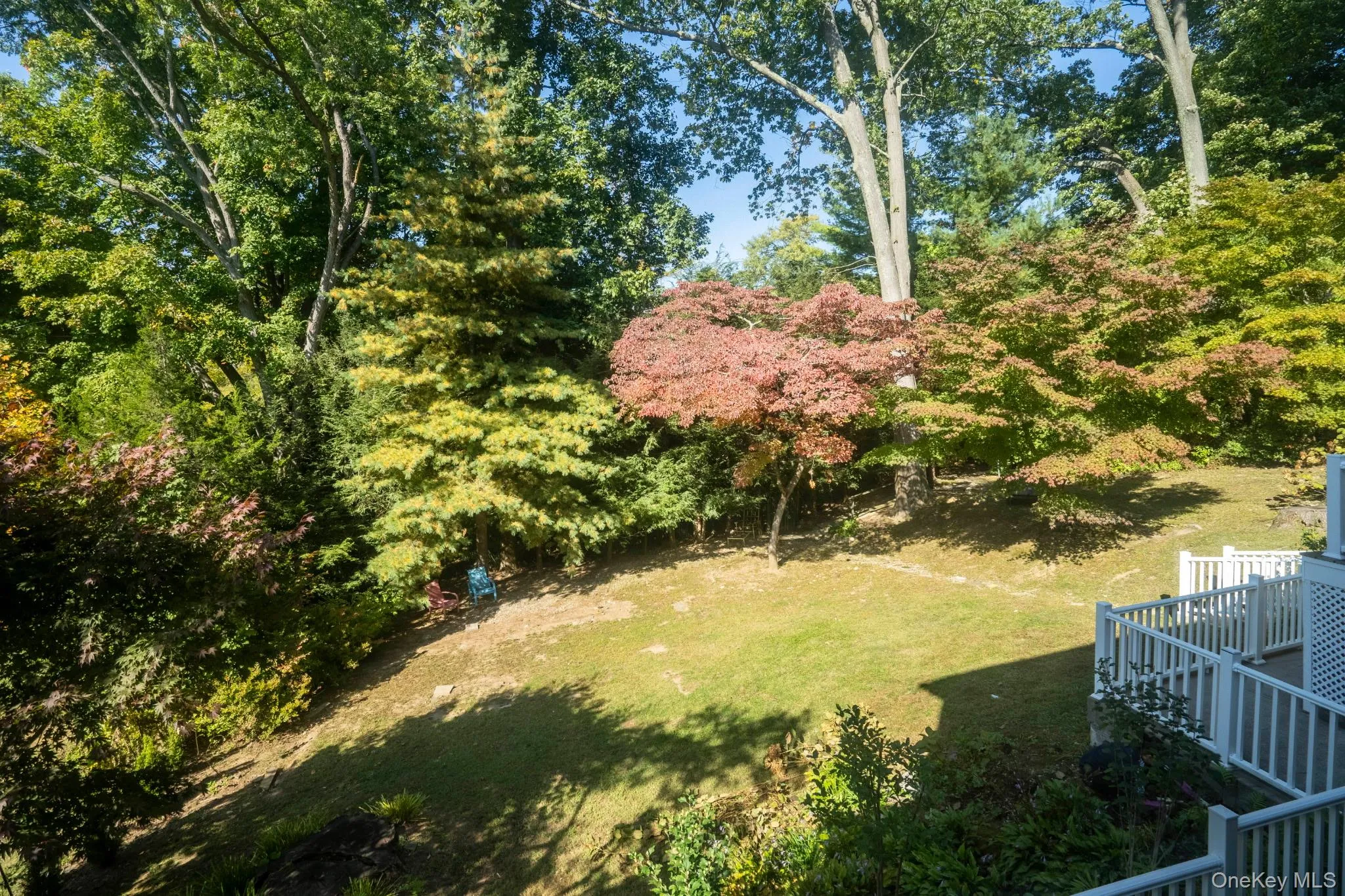 View of the wooded backyard View of the wooded backyard
