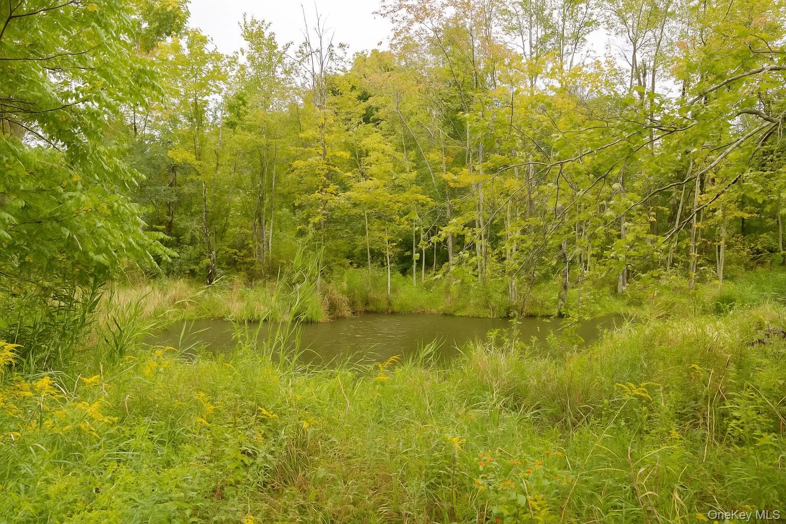 View of tree filled area with a water view View of tree filled area with a water view