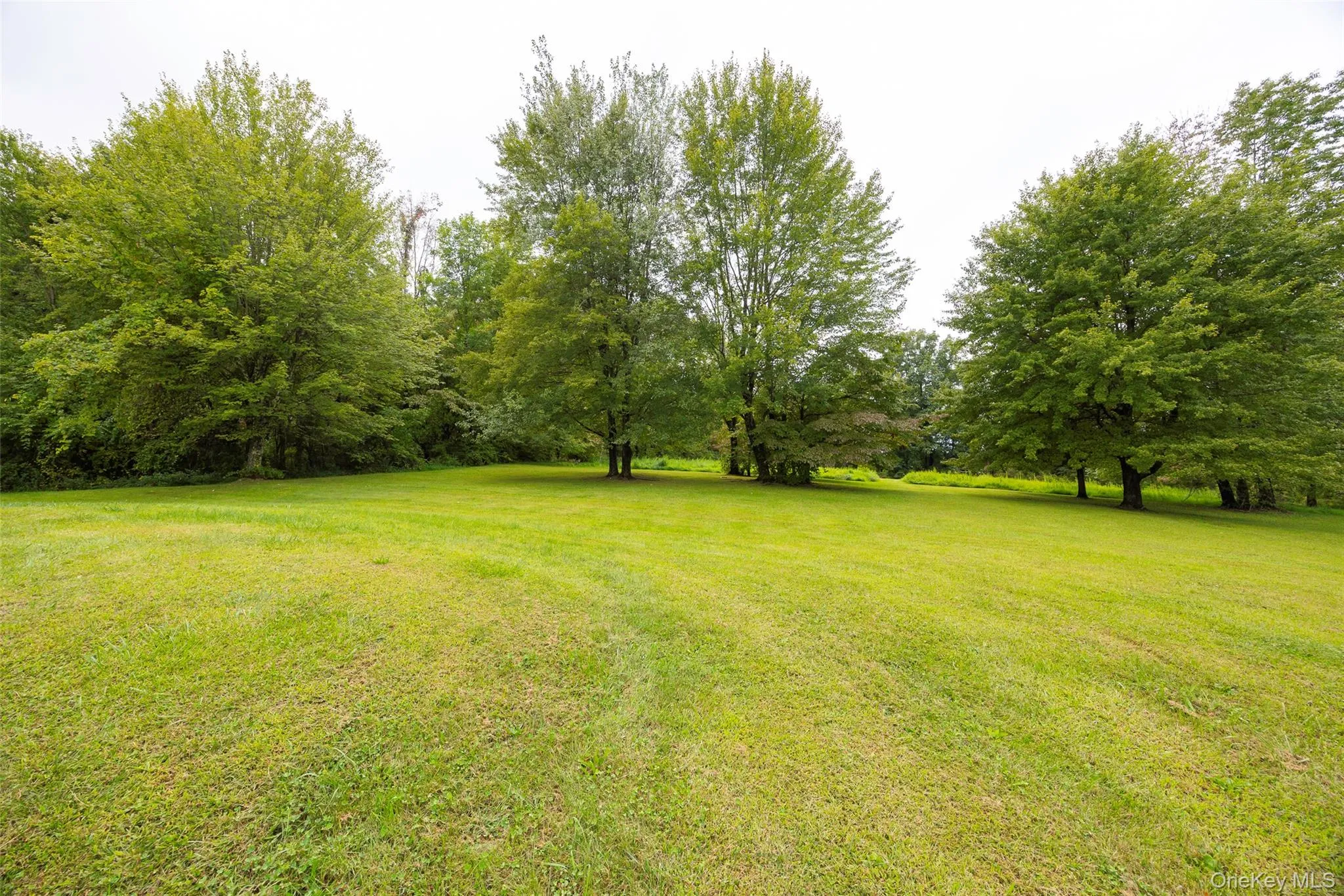 View of green lawn with view of scattered trees View of green lawn with view of scattered trees