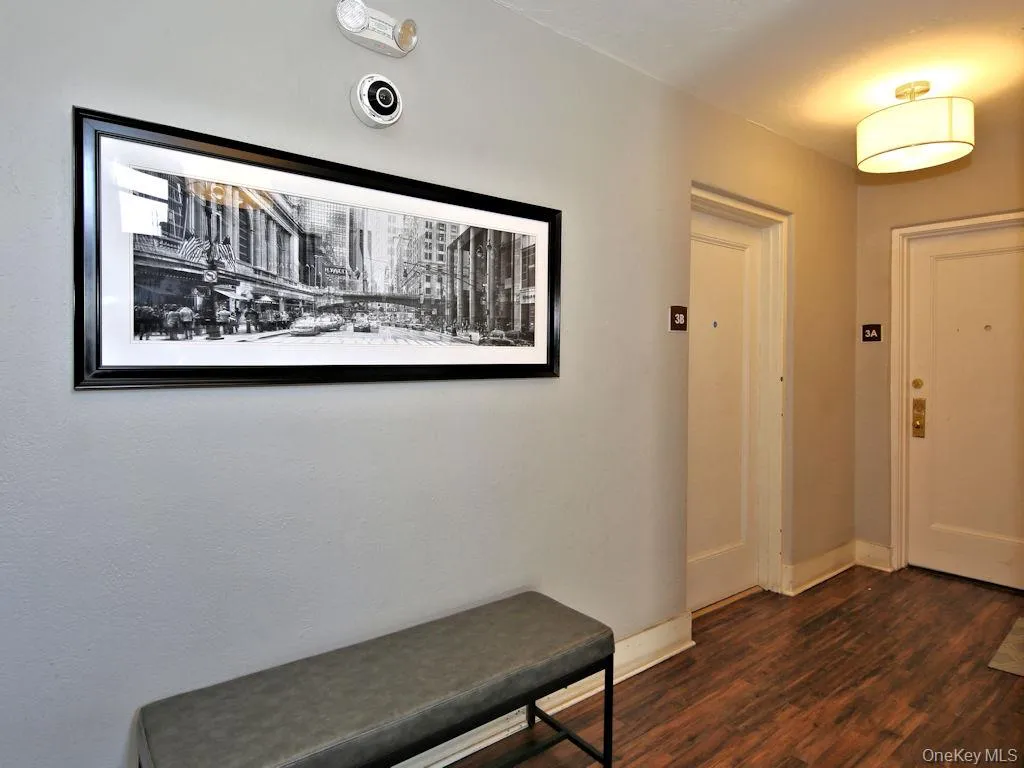 Foyer featuring dark wood-style flooring and baseboards Foyer featuring dark wood-style flooring and baseboards