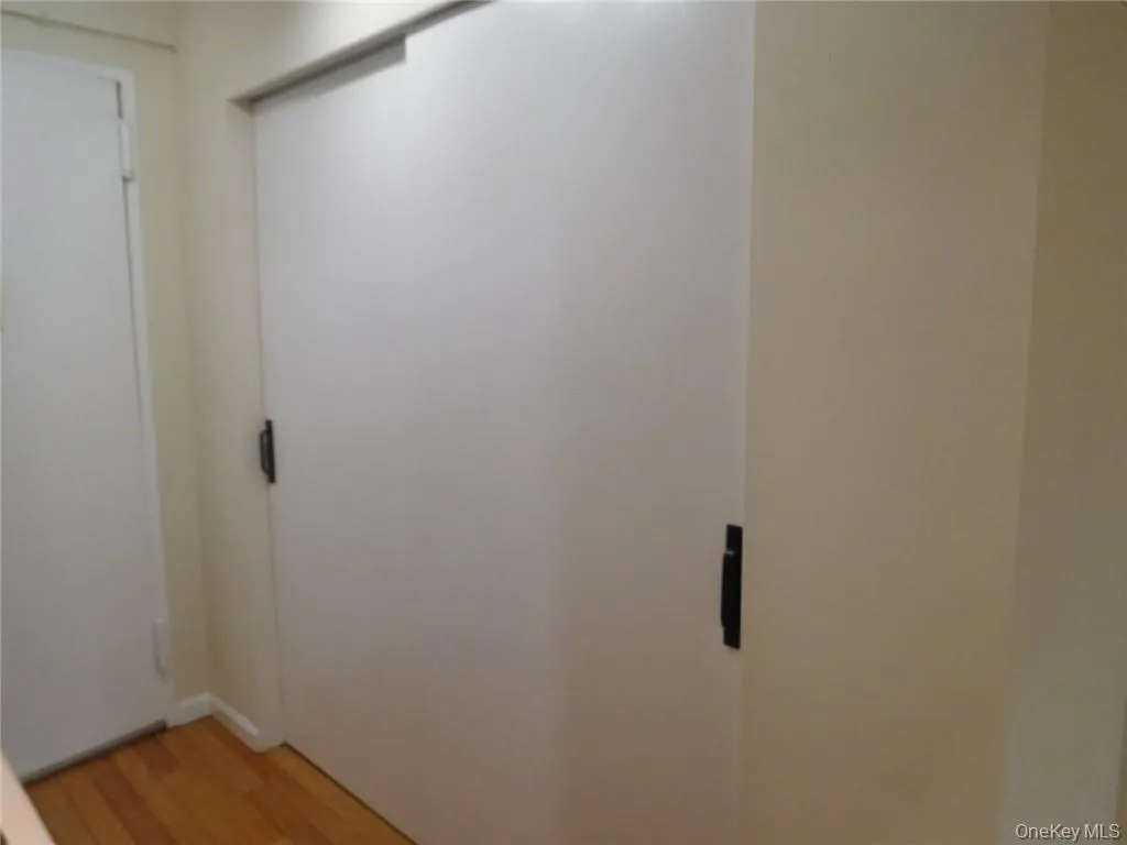 Huge Double Closet at Entry Hall Huge Double Closet at Entry Hall